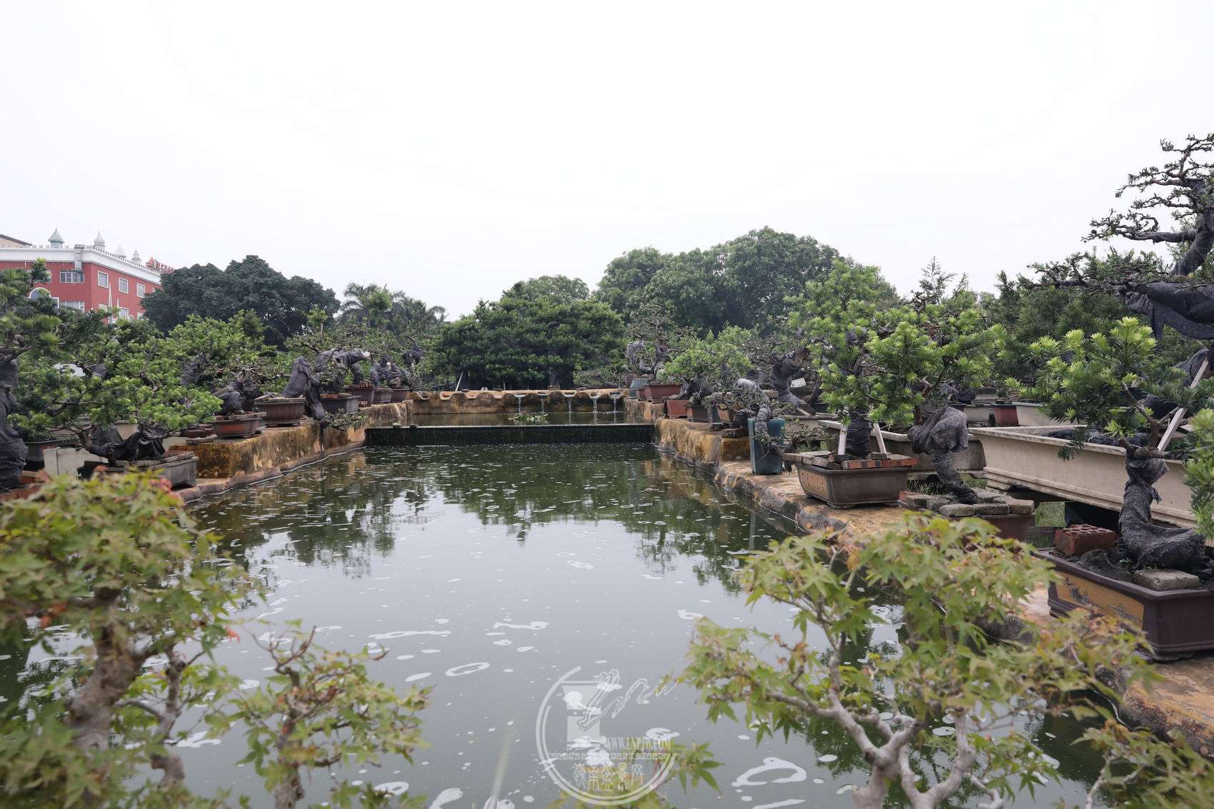 3BG1A5930.jpg
