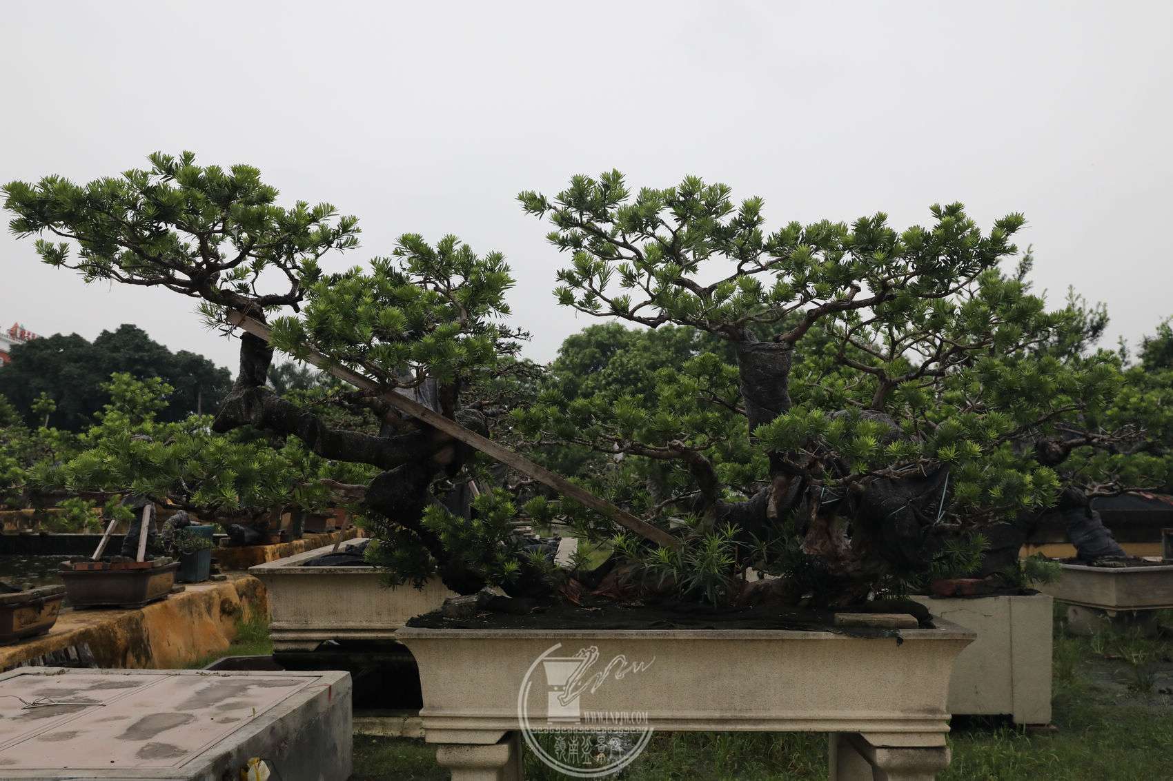 18BG1A5951.jpg