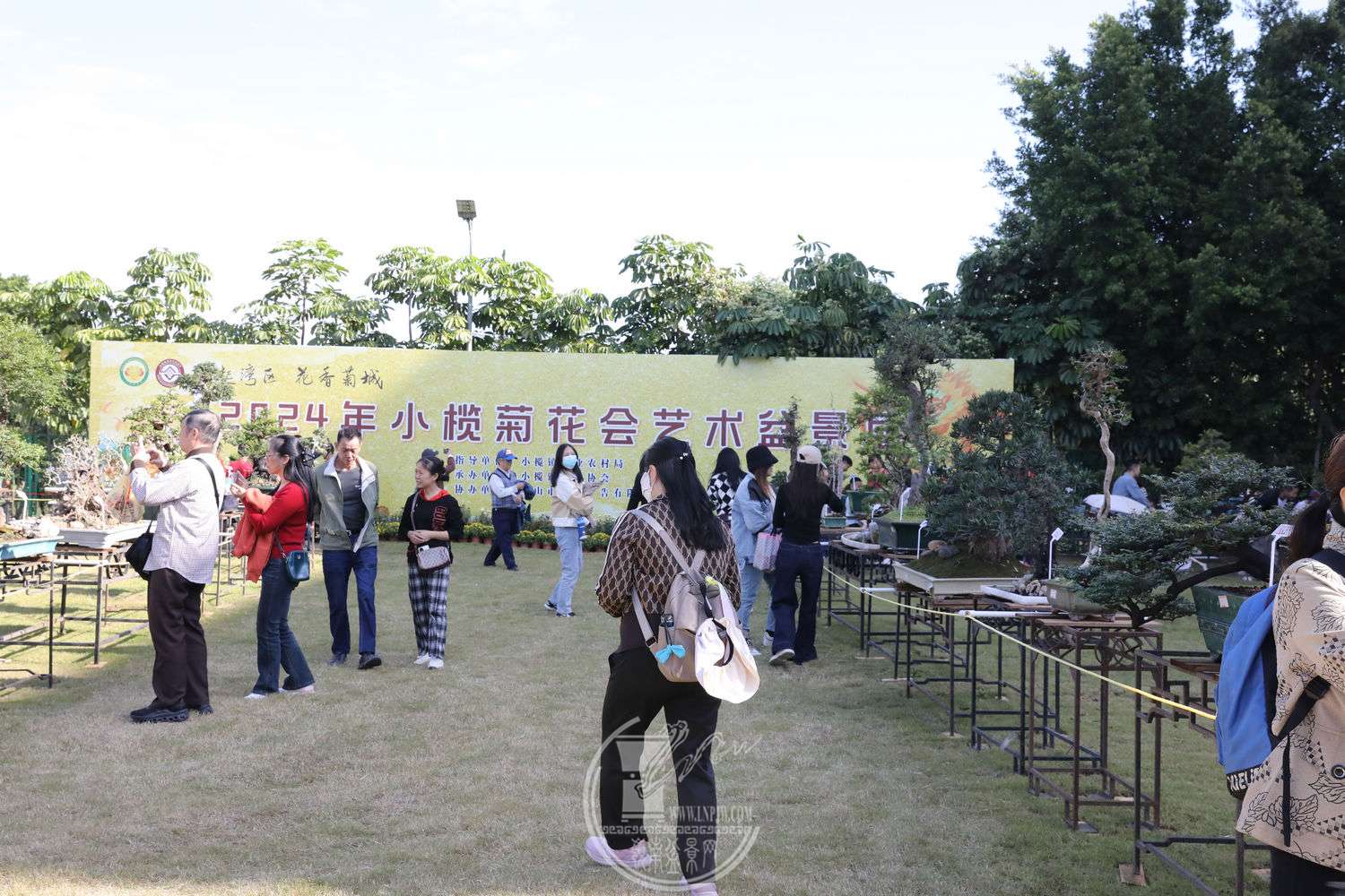 6BG1A9195.jpg