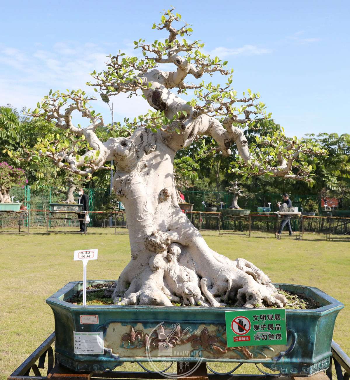 16BG1A9168.jpg
