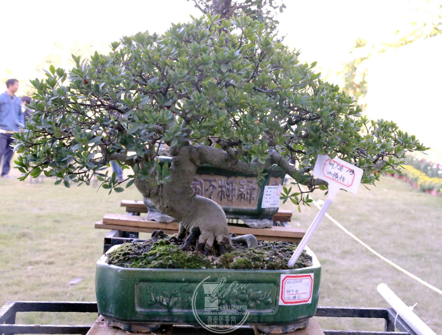 37ٰˮ֦BG1A9141.jpg
