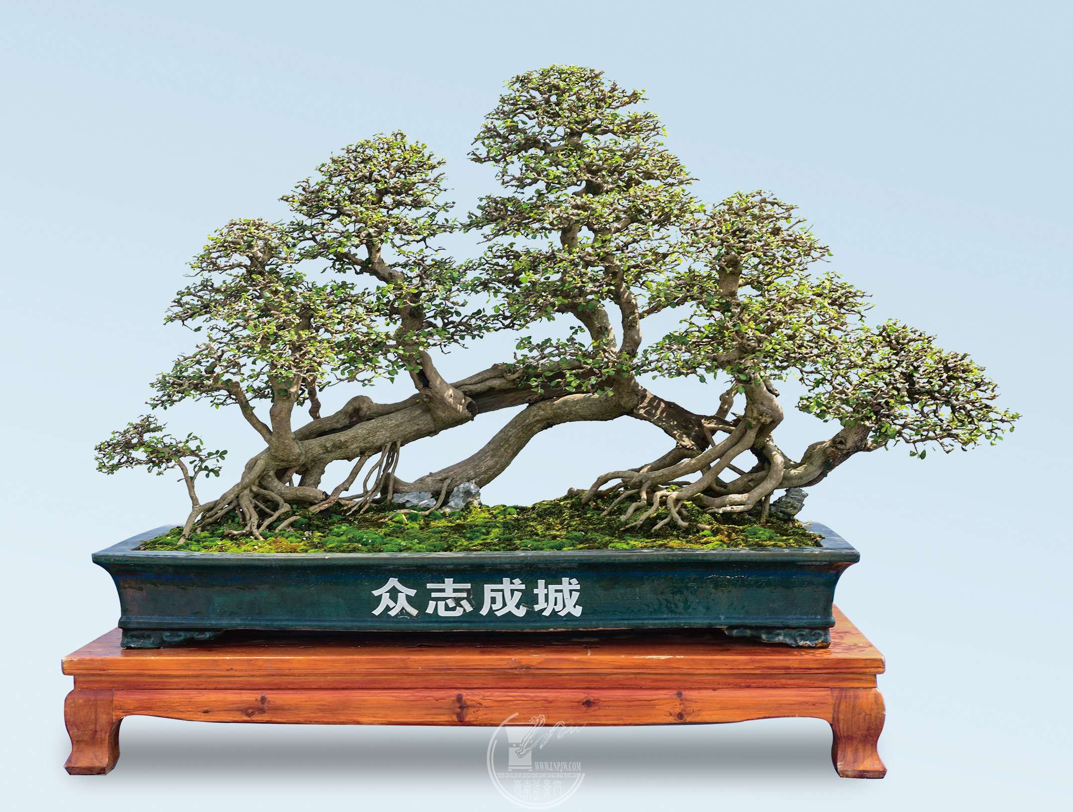 0辰Э     ά          ־ɳǡ     139X67X80cm.jpg