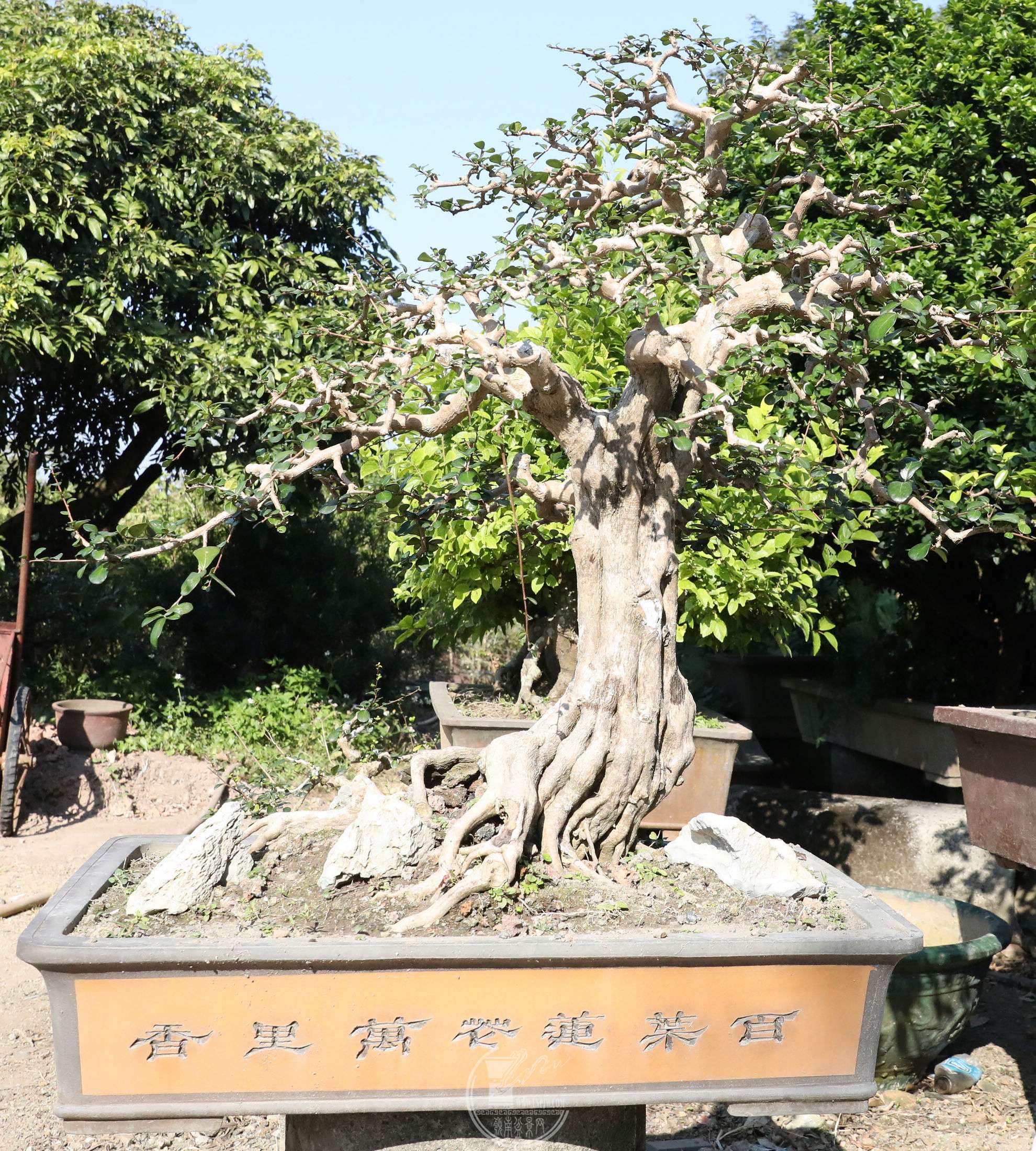 BG1A0372.jpg