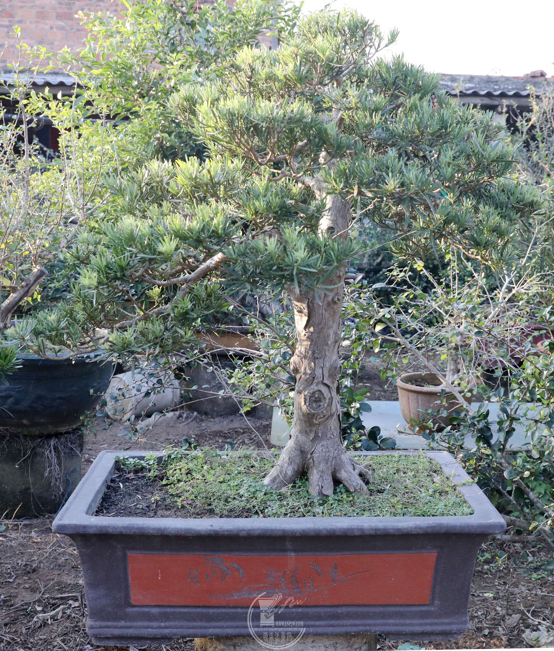18BG1A0477.jpg