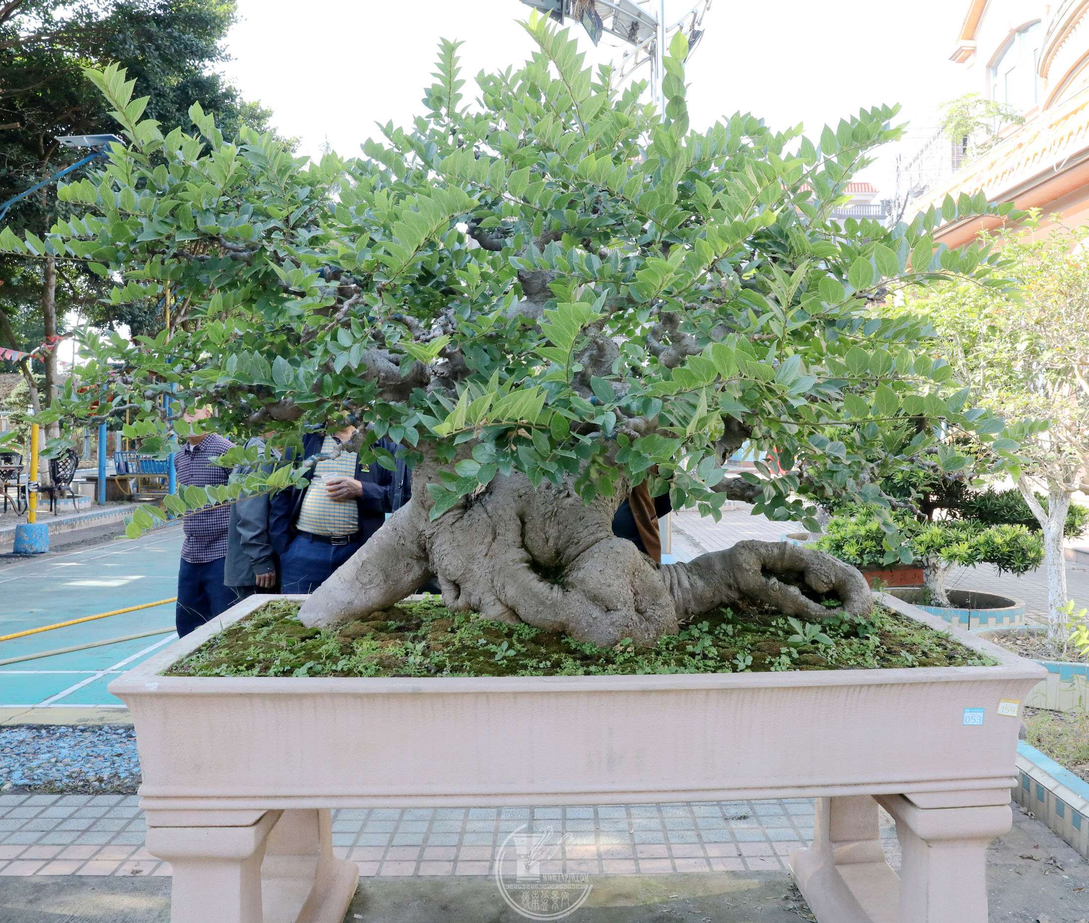 10BG1A0771.jpg