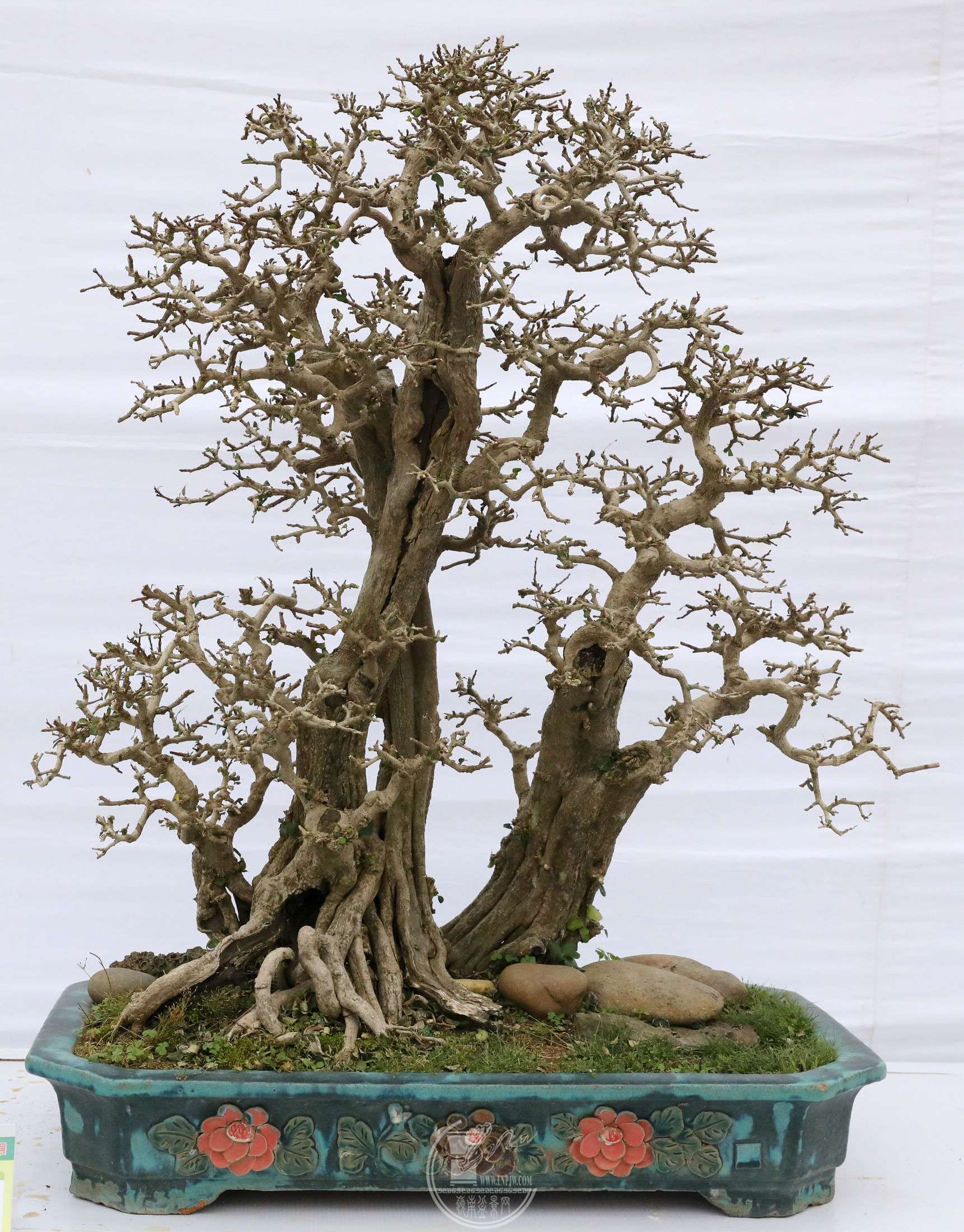 20Ө          BG1A0920.jpg