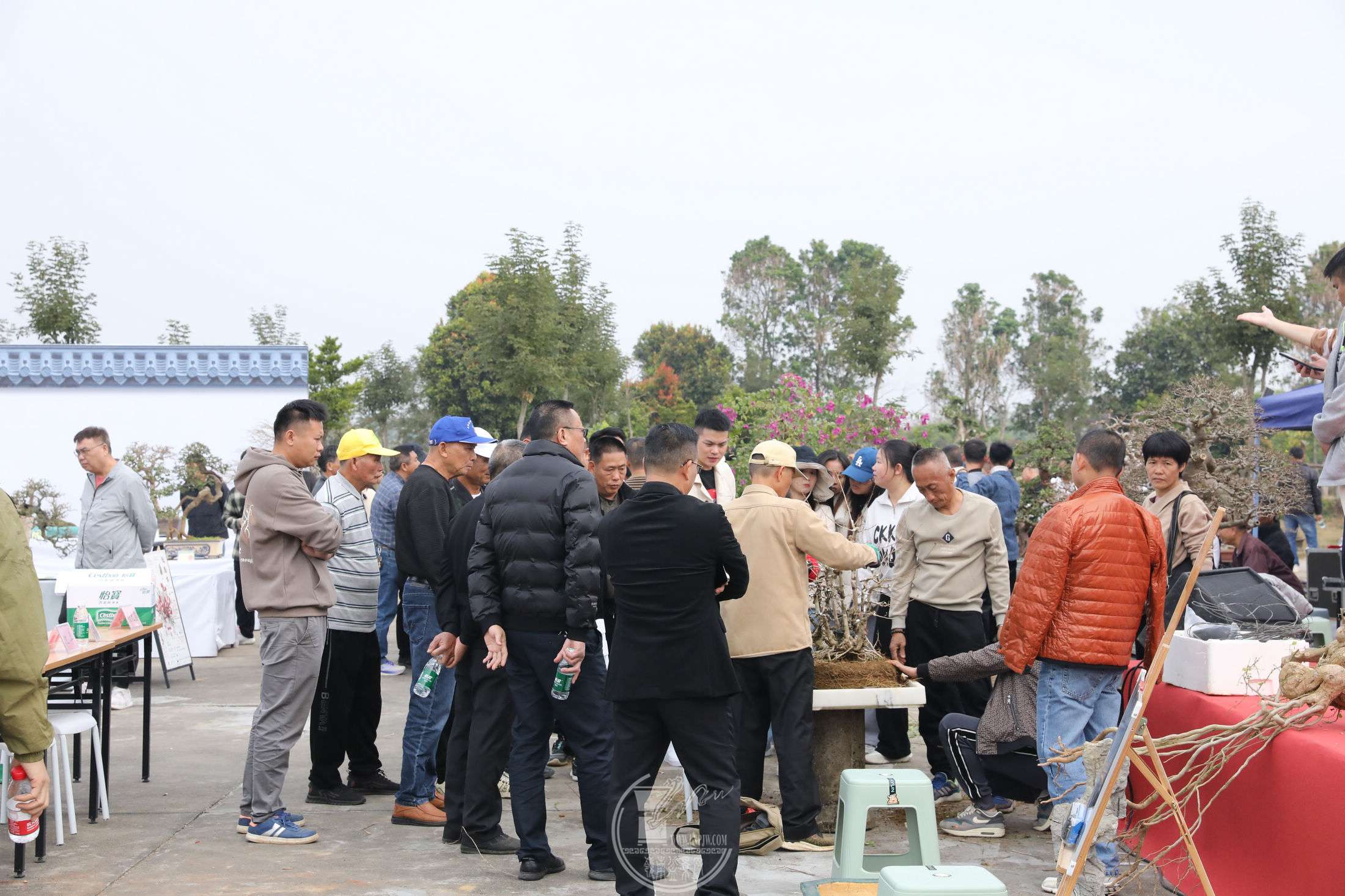 1BG1A1235.jpg