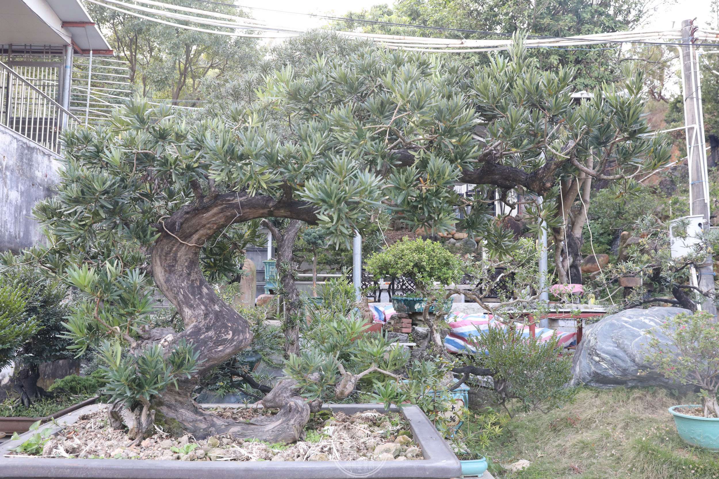 11ԭ޺׮ġBG1A9706.jpg