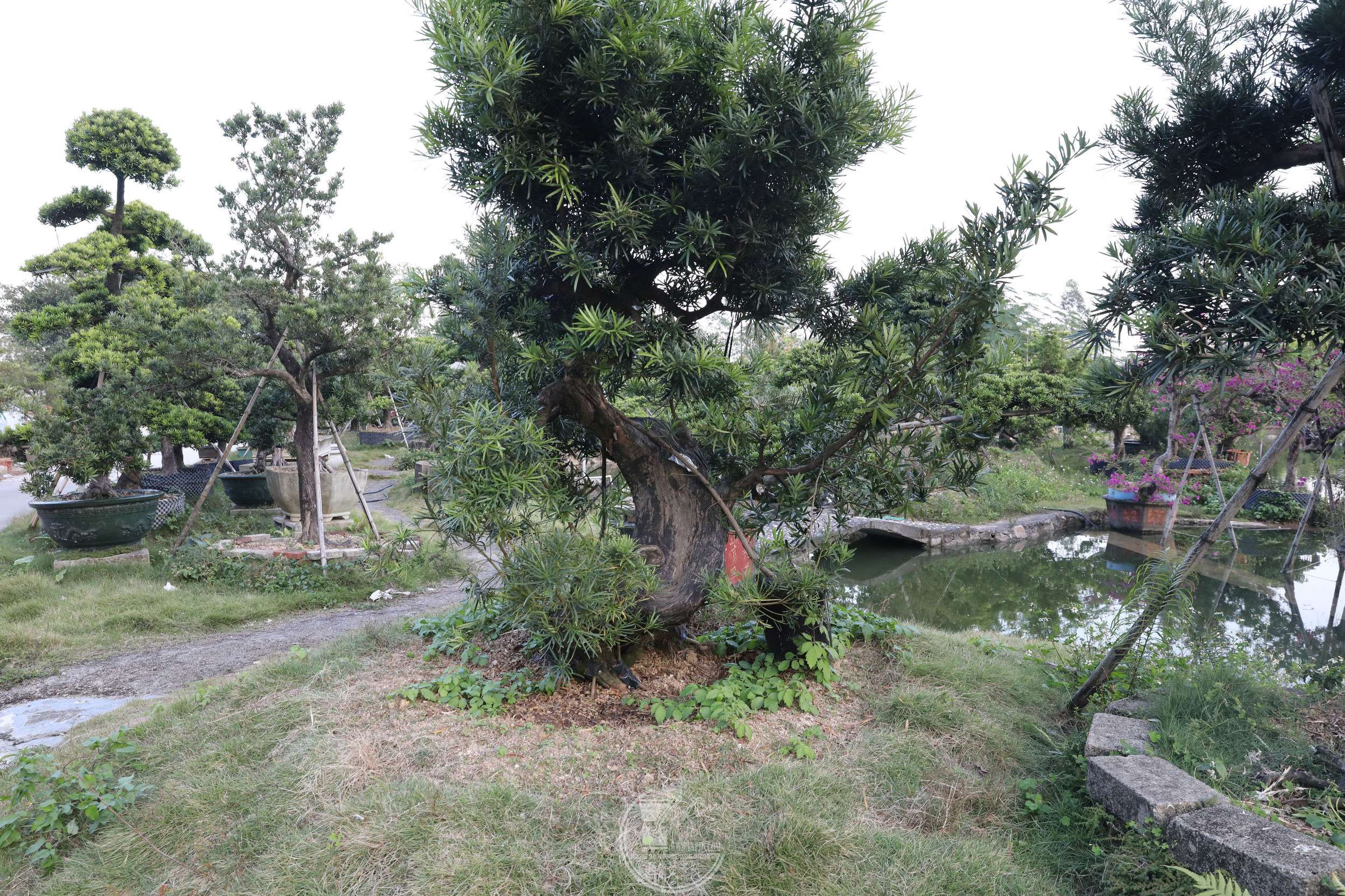 13ԭ޺׮ġBG1A9759.jpg