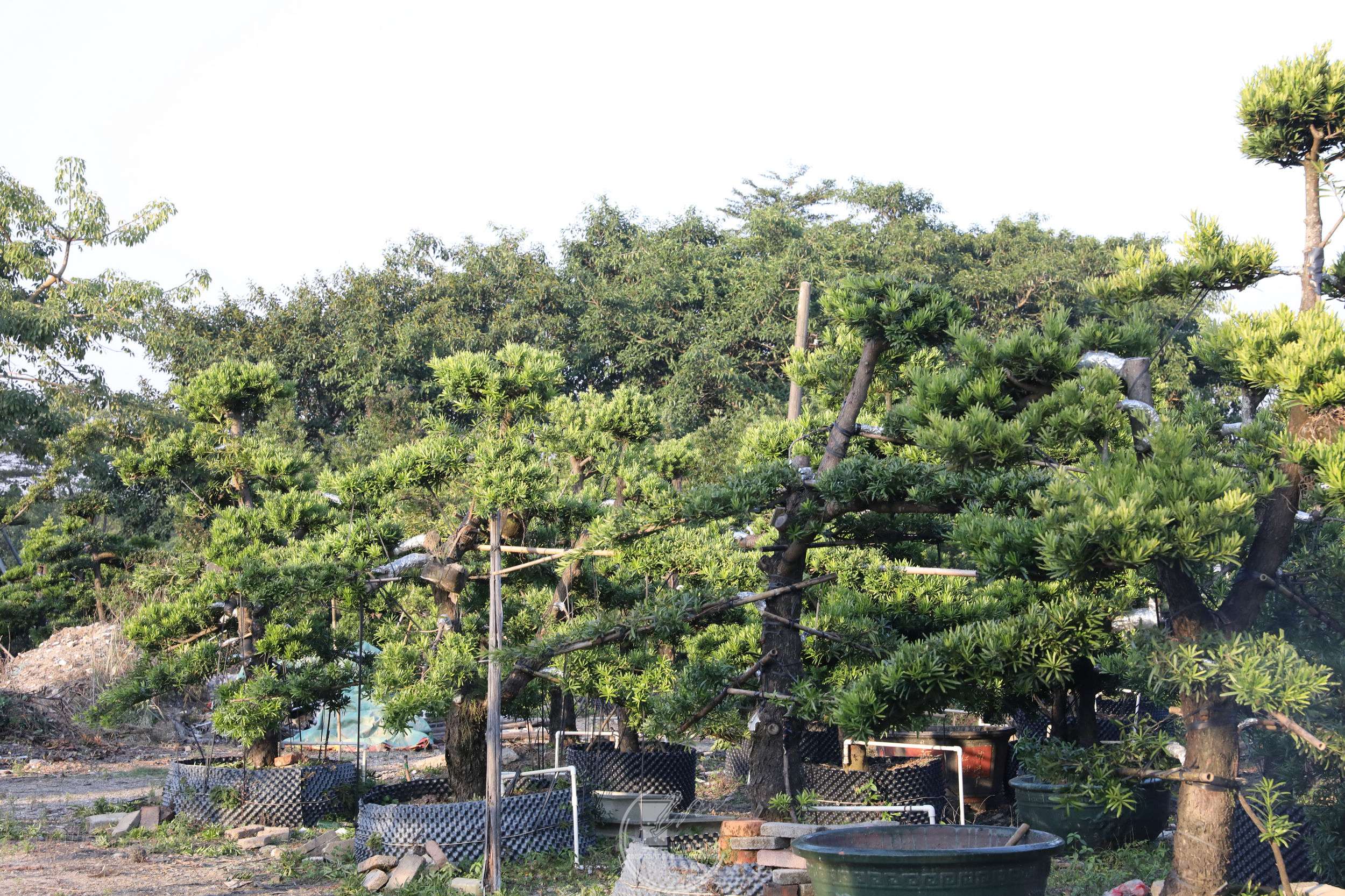 21е޺ɾBG1A9728.jpg