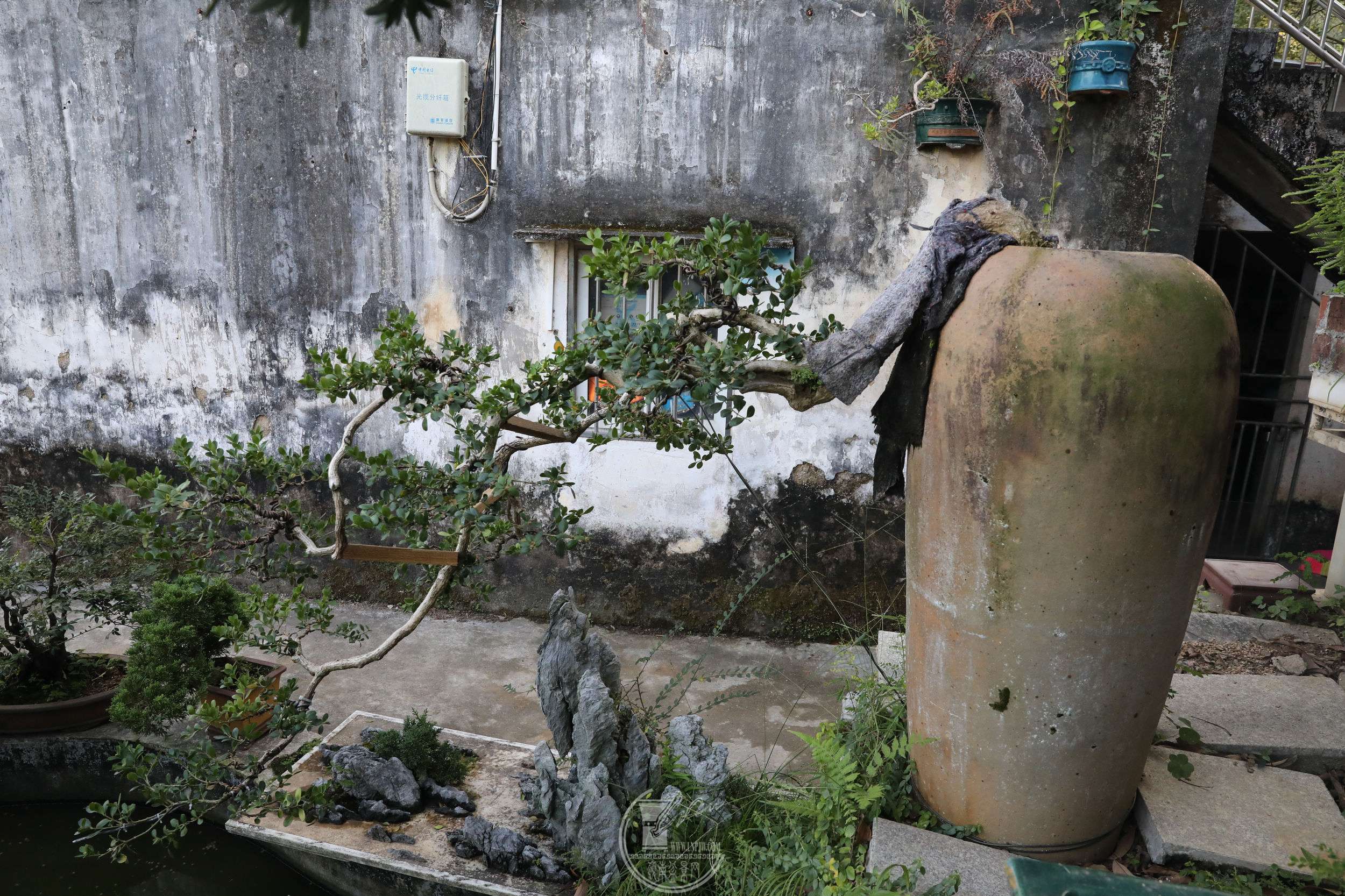 BG1A9701.jpg