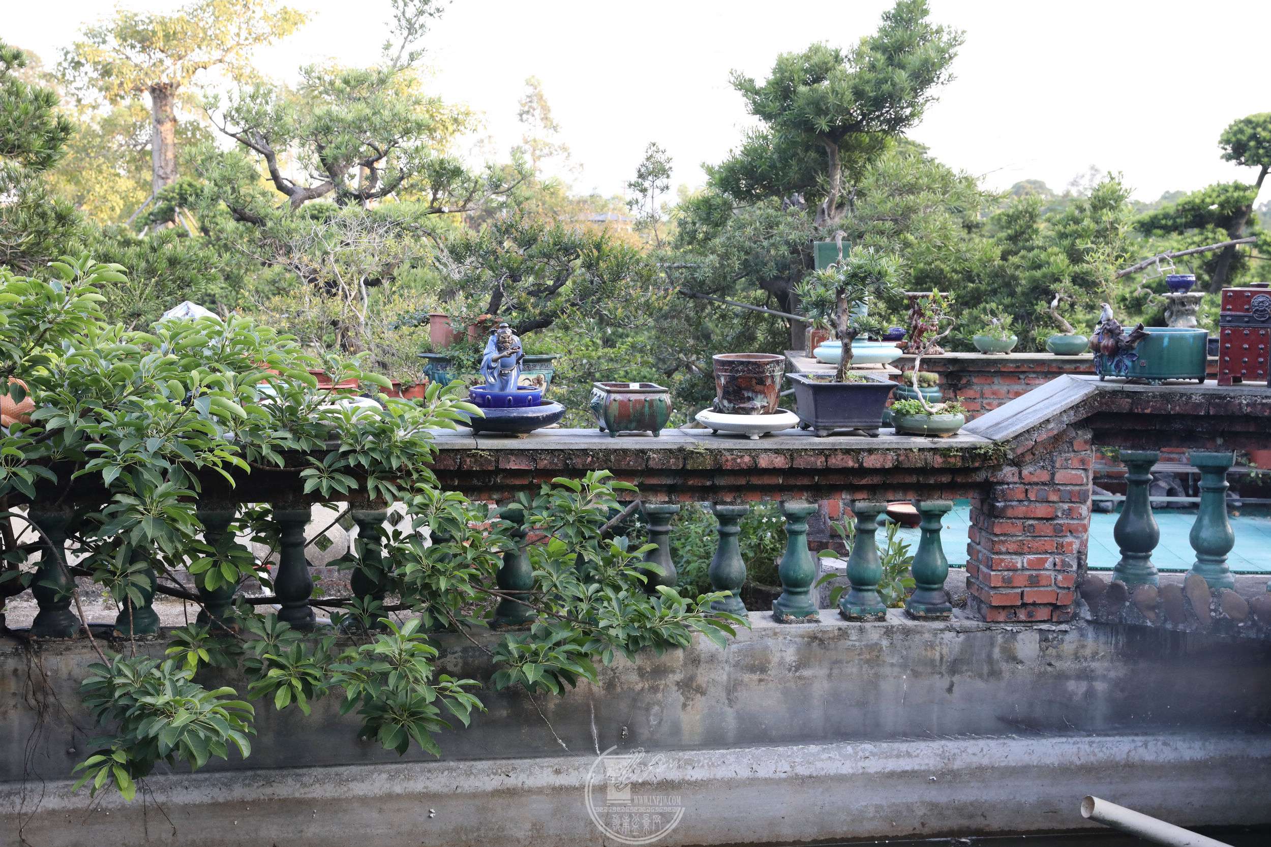 BG1A9739.jpg