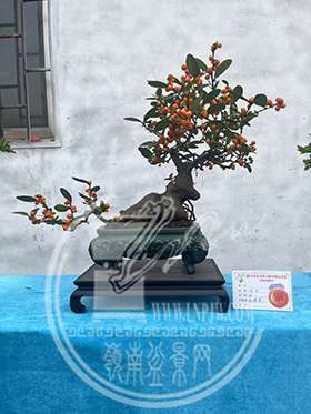俽1.jpg
