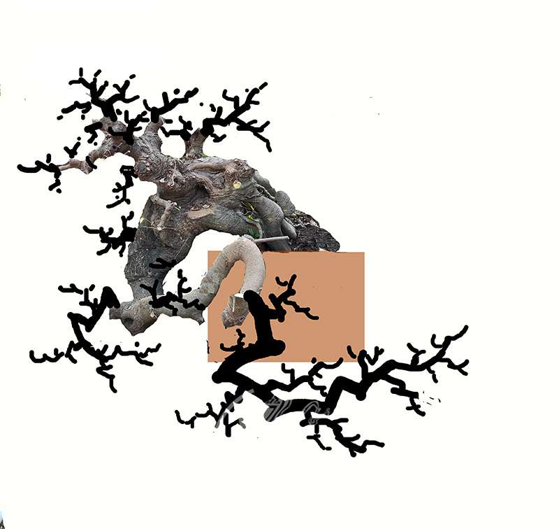 ΰ9.jpg