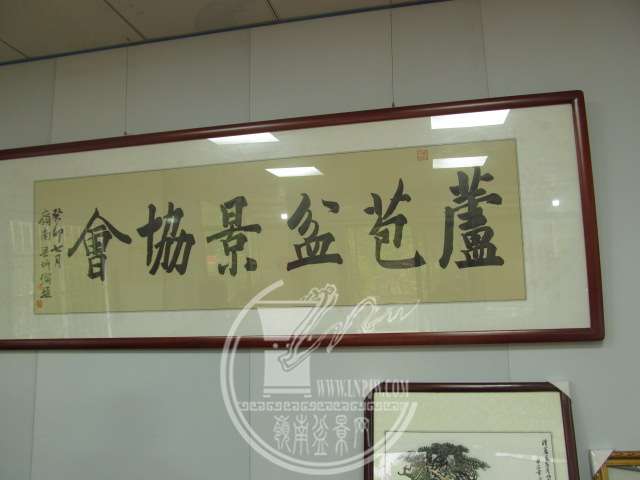 IMG_3776.JPG