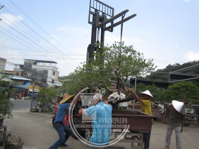 IMG_5664.JPG