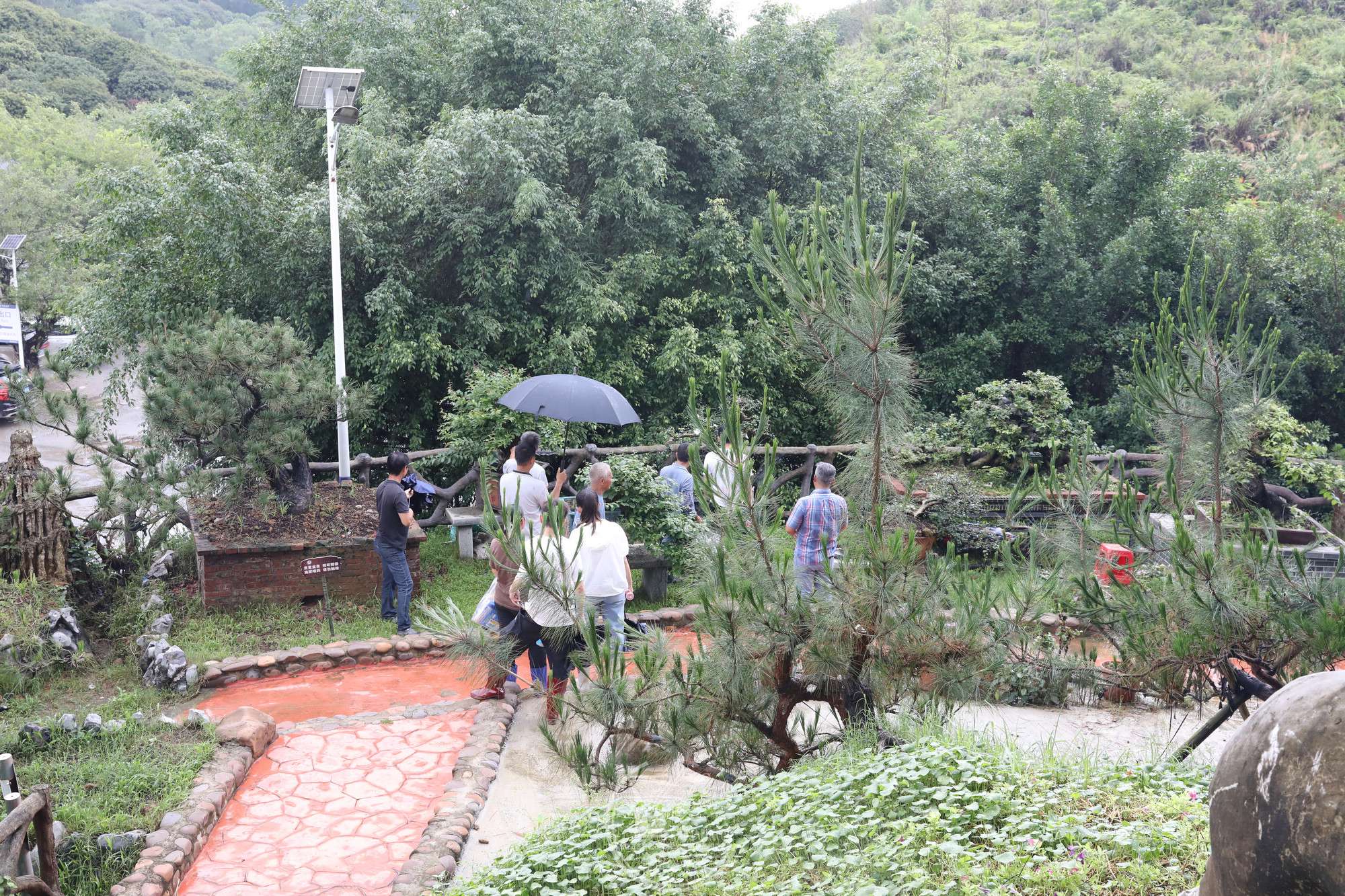 14BG1A2906.jpg