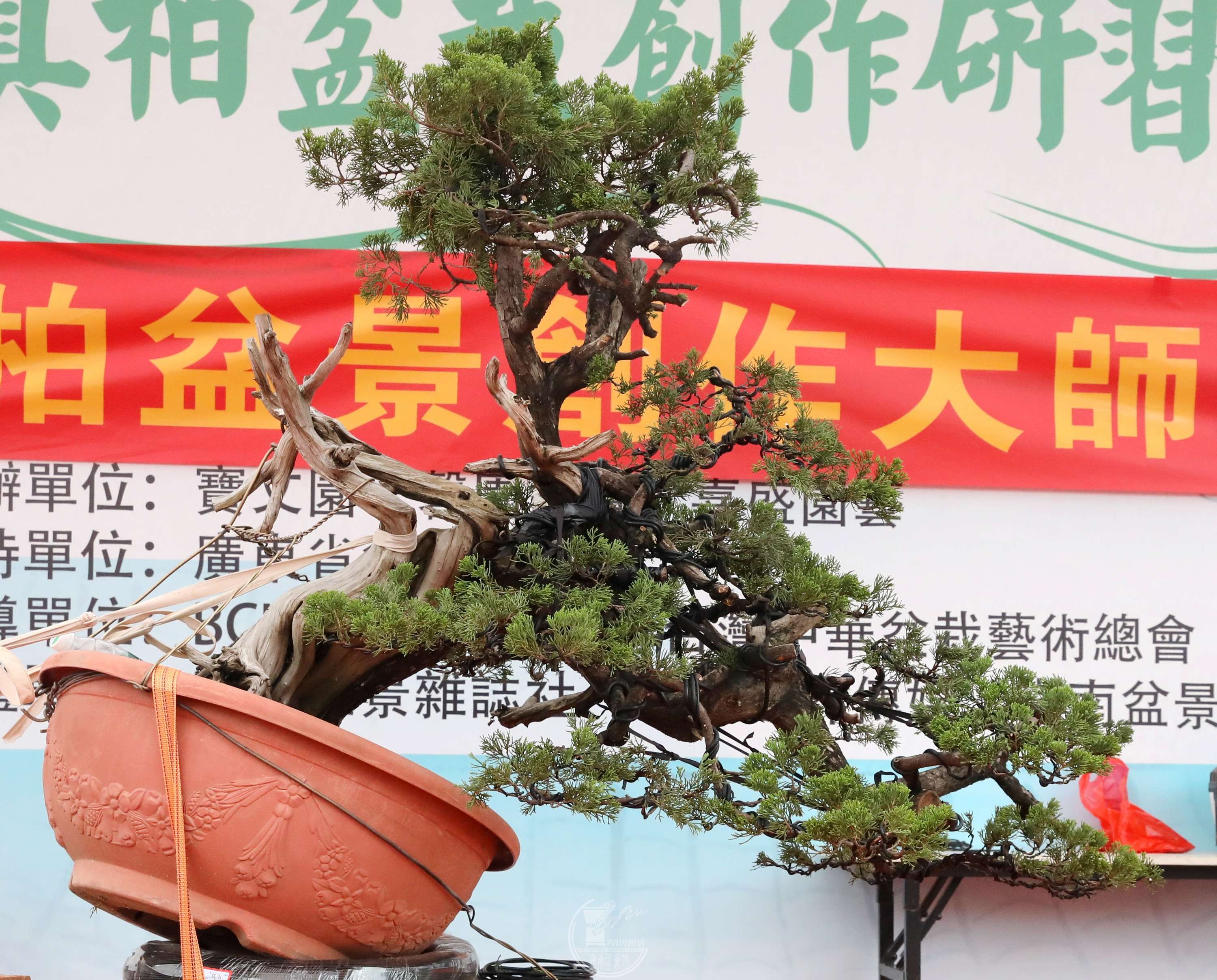 10BG1A3572.jpg