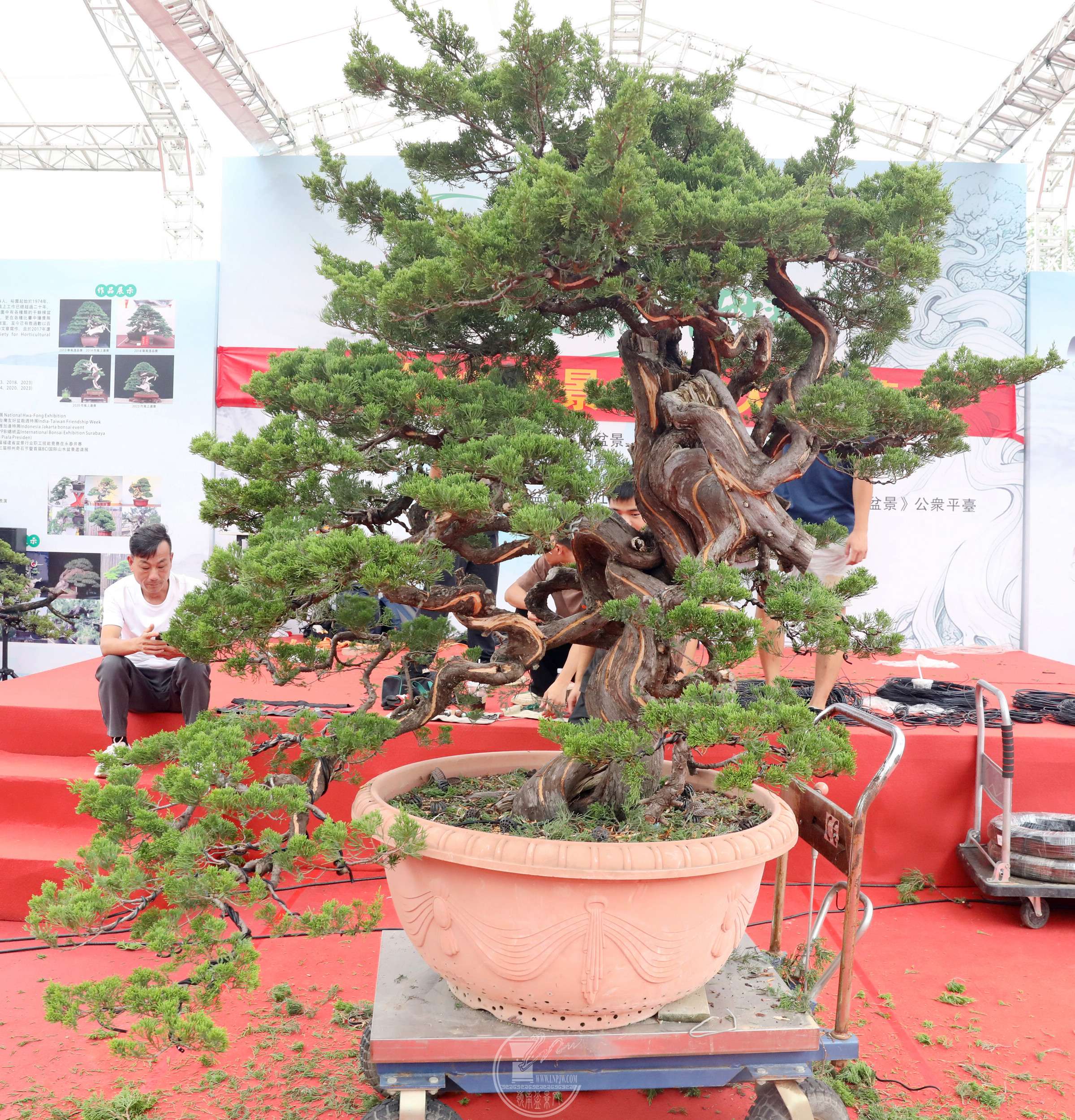 12BG1A3810.jpg