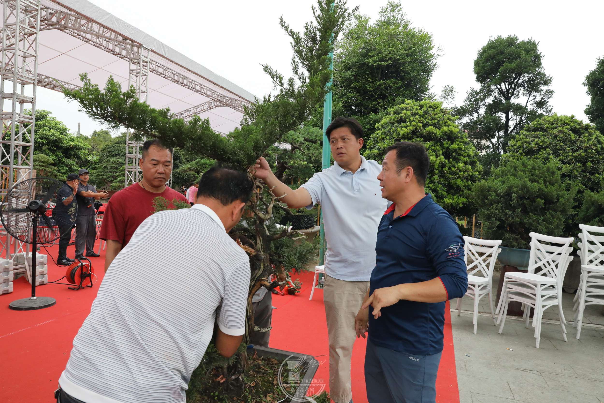 2BG1A3540.jpg