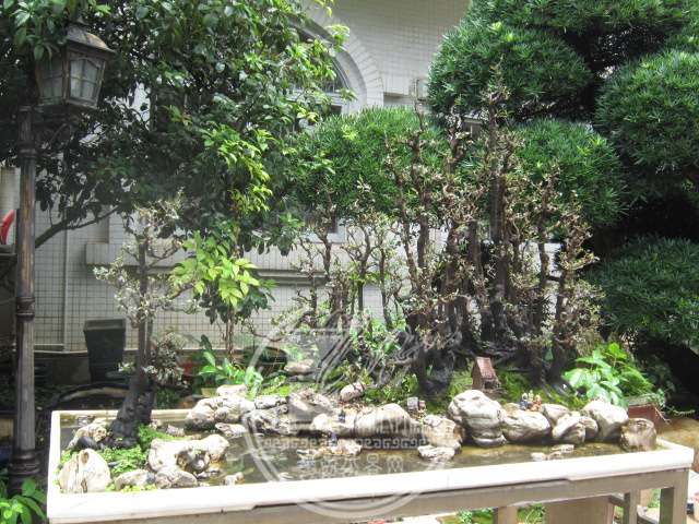 IMG_8221.JPG