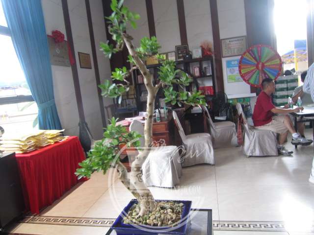 IMG_8415.JPG