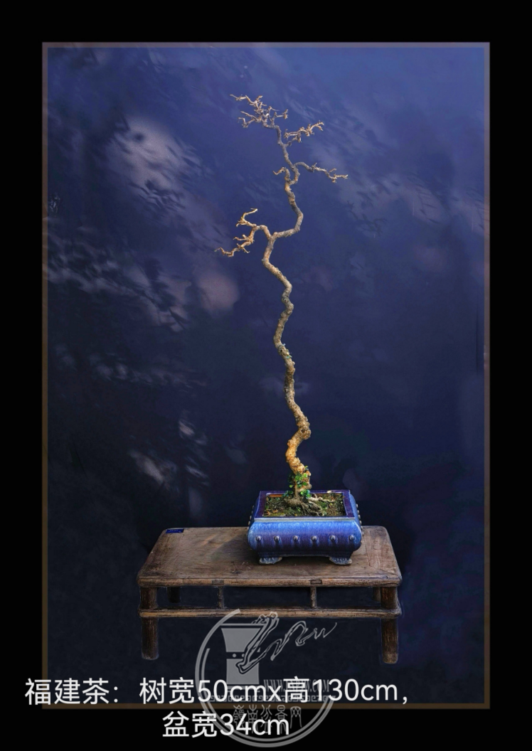64辰 ɽ.png