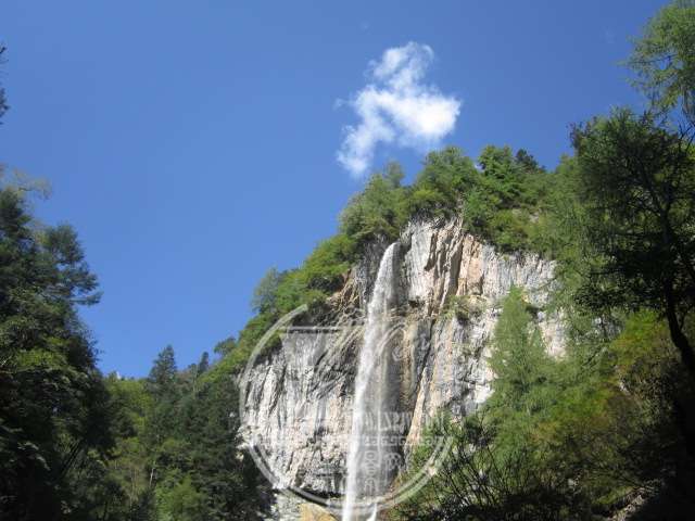 IMG_9277.JPG