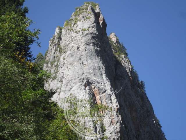 IMG_9337.JPG