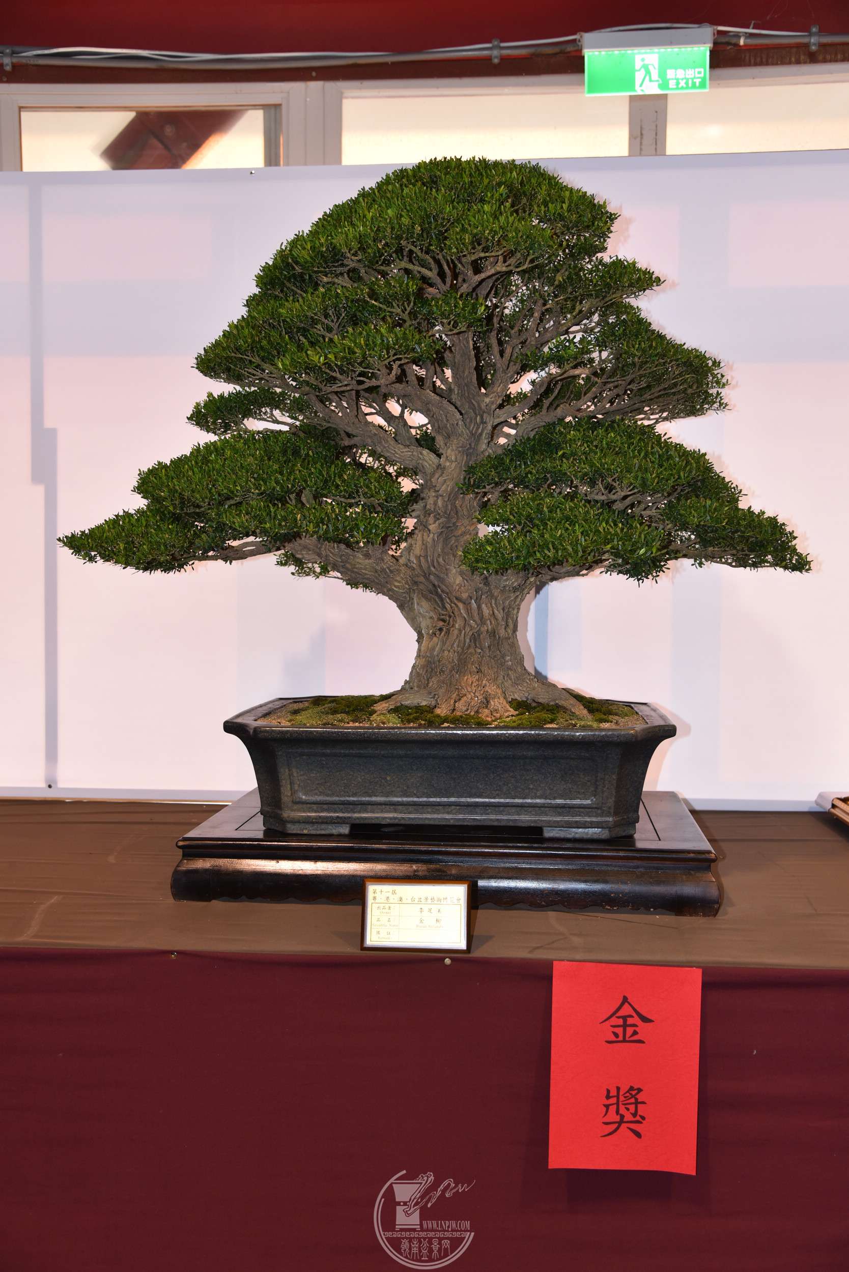 ��������̨�壩 ����  ���� 95����  ��DSC_1794.jpg