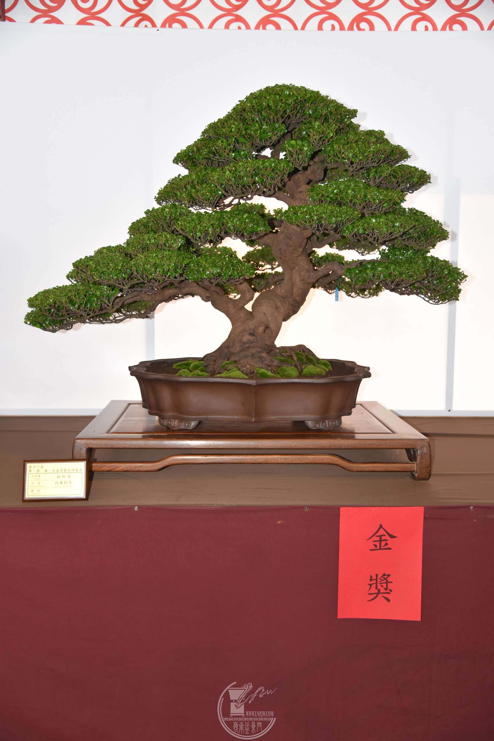 �����£�̨�壩 ���~��ľ ���� 80���� ��.jpg