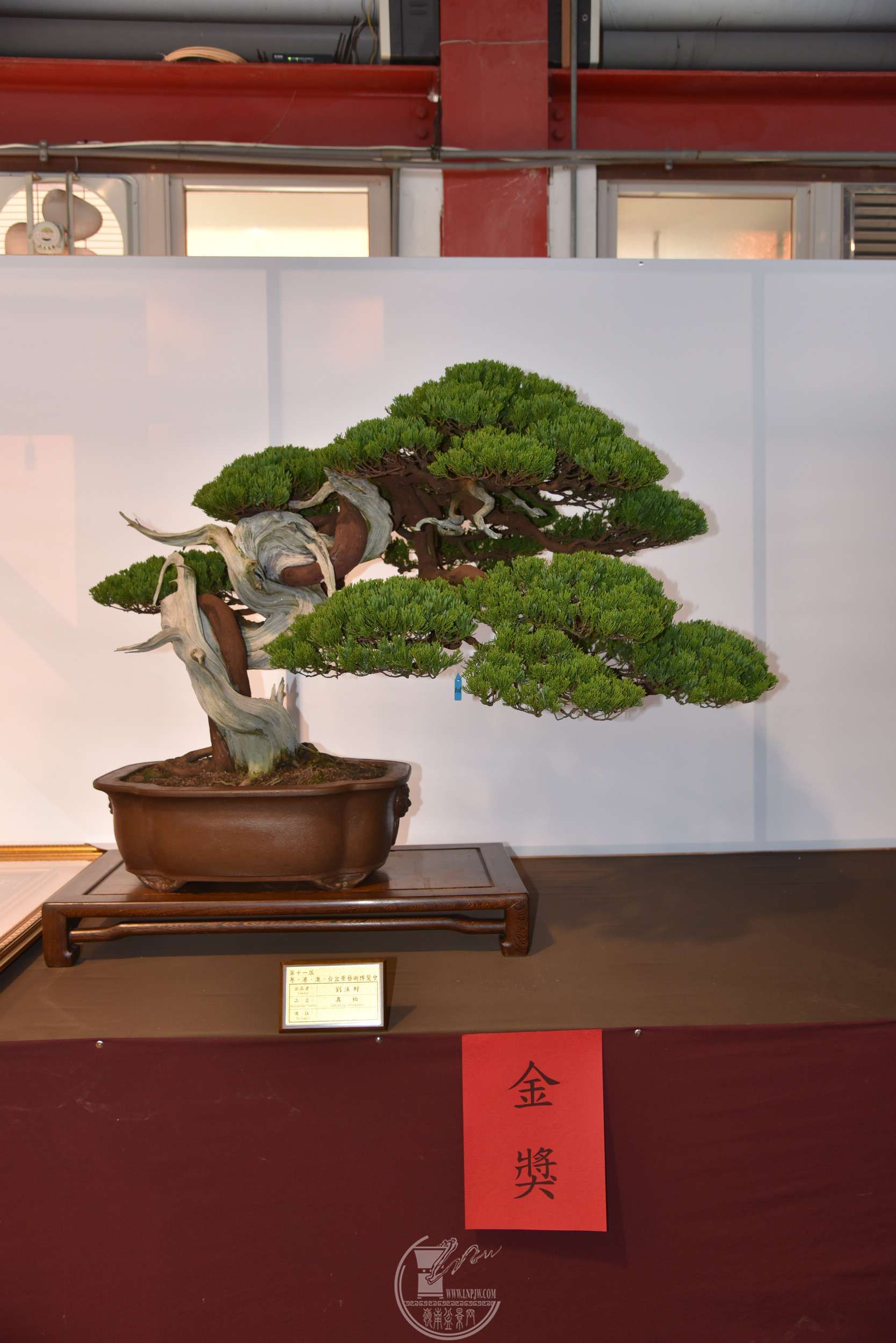 ���hؔ��̨�壩 ���  78����X103���� ��DSC_1792.jpg