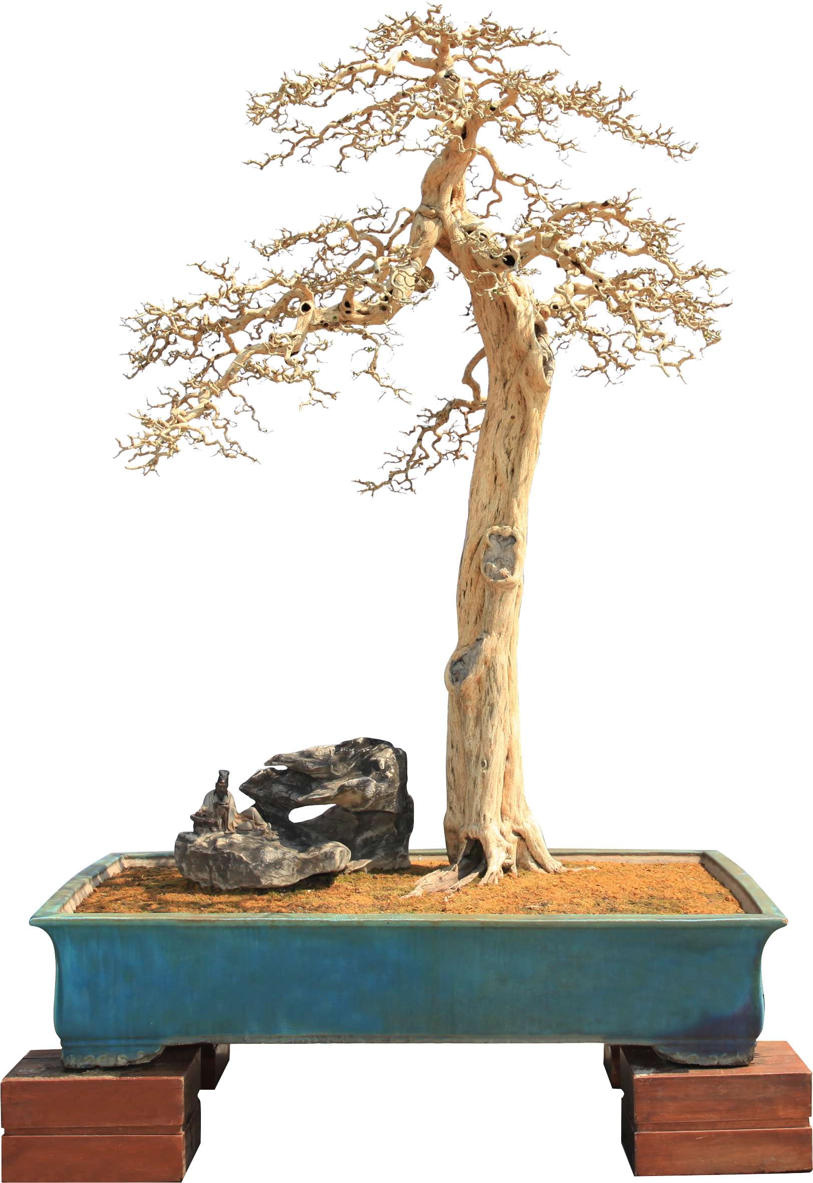 204����ɽ���辰Э��      ������      �λ��۵���ƮԶ      ������      195      ��.jpg