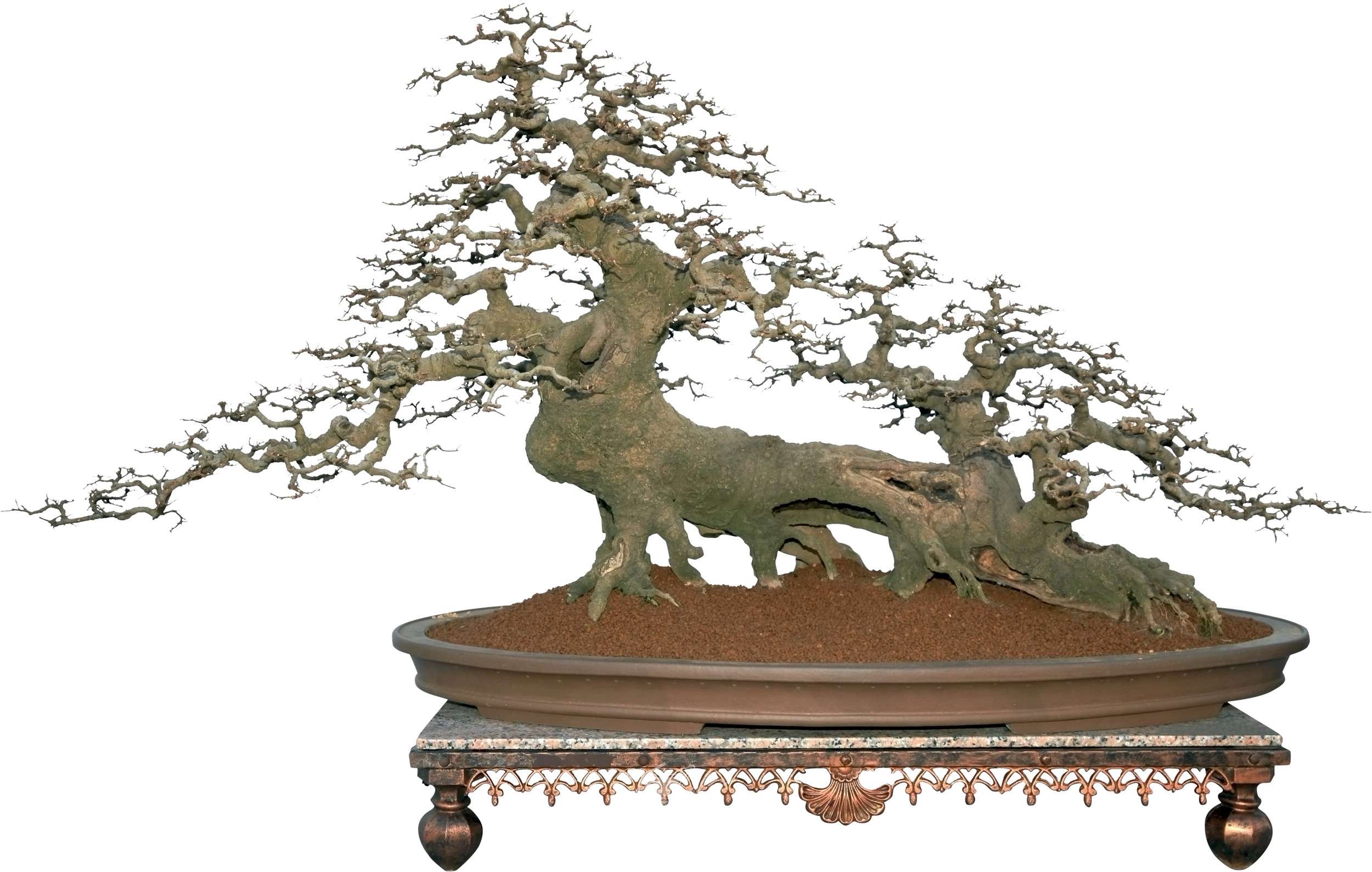 387��    �´廨������    ���Ŀ�    ��Х����    ����95    ��IMG_1675.jpg