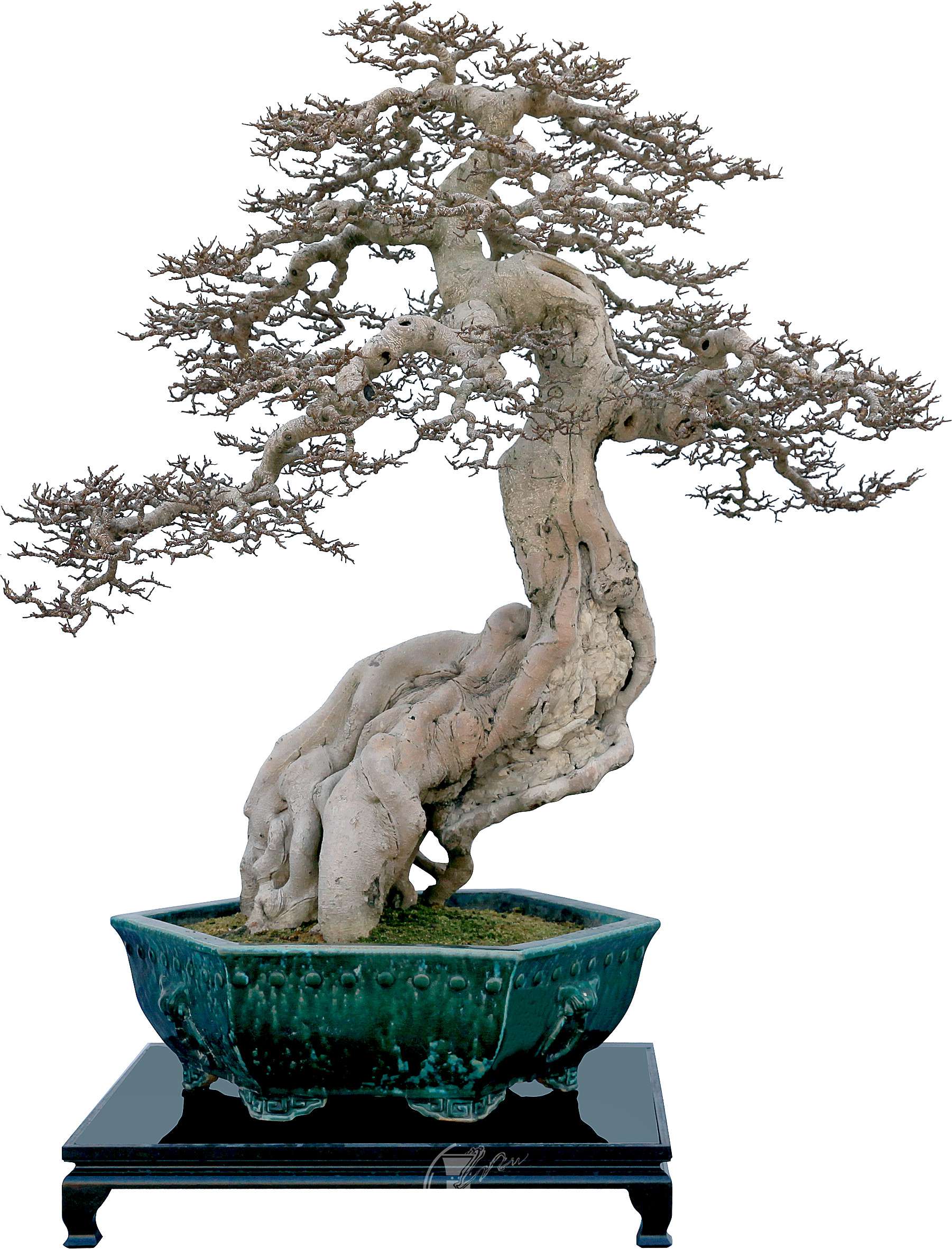 389��    �´廨������    ��Զӱ    �������    ����    120    ��IMG_1678.jpg