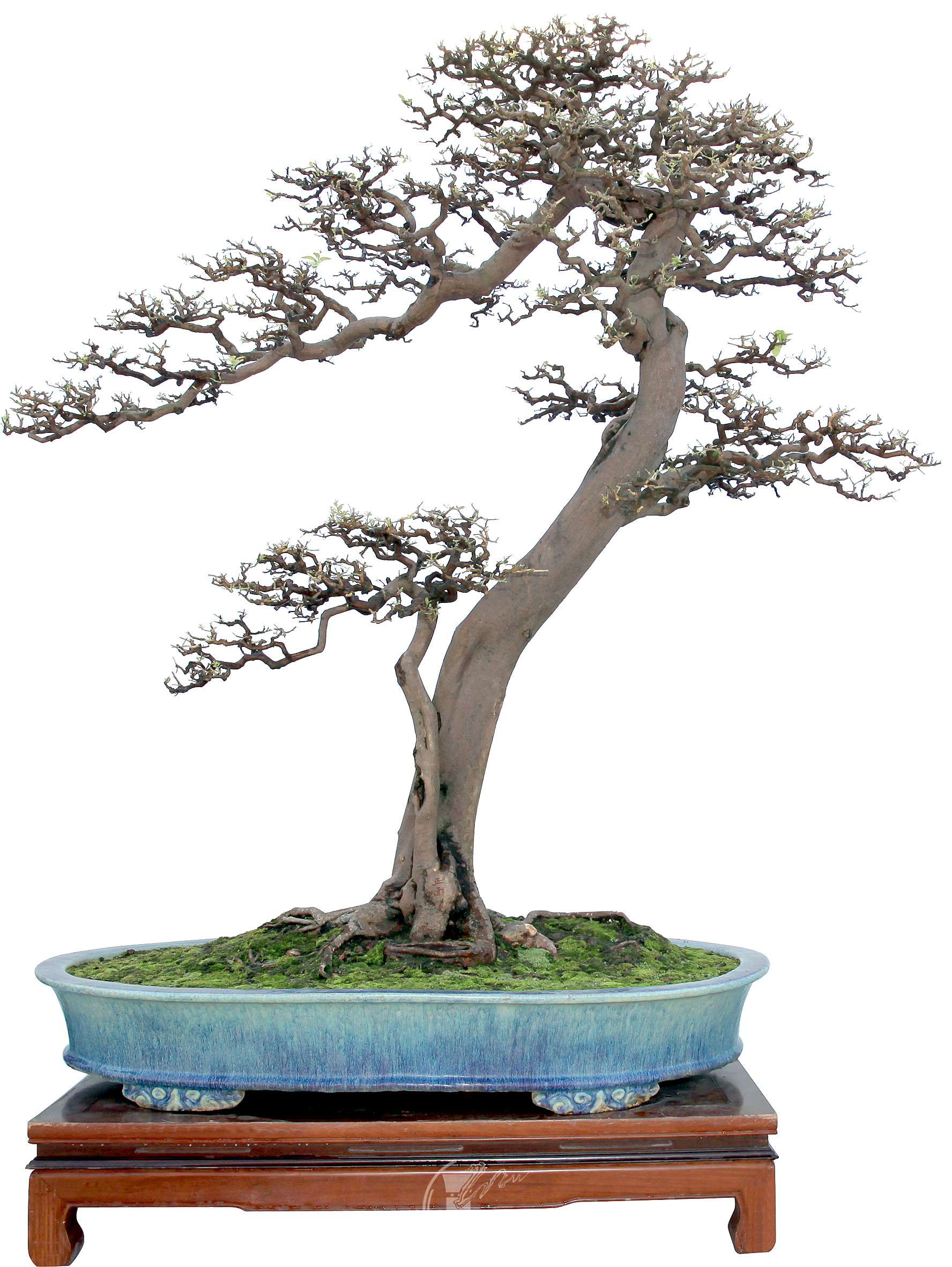 394    ��ݸ���辰Э��    ��Ϫ԰    ���ü���    ɽ��    145    ��IMG_2784.jpg