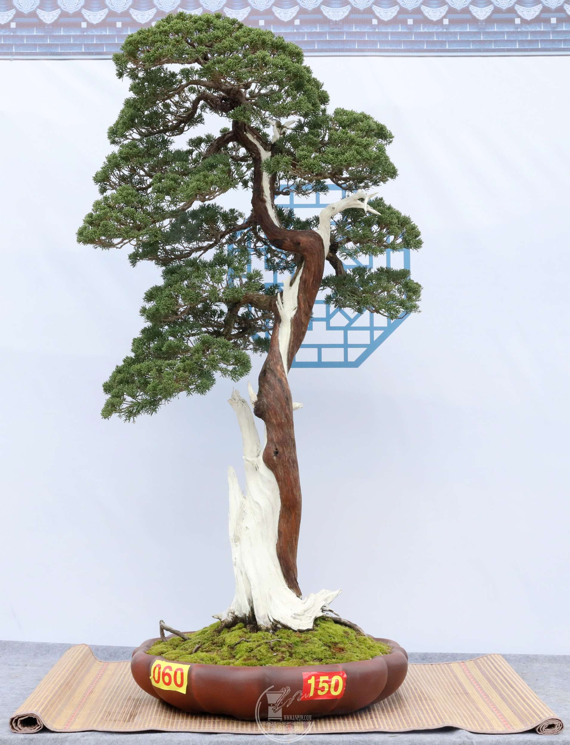 1360  ư BG1A6790.jpg