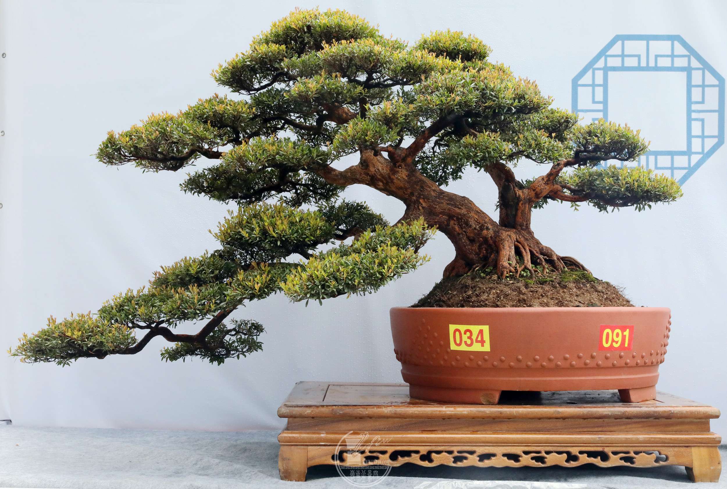 1434 Ҷʢ չ BG1A6849.jpg