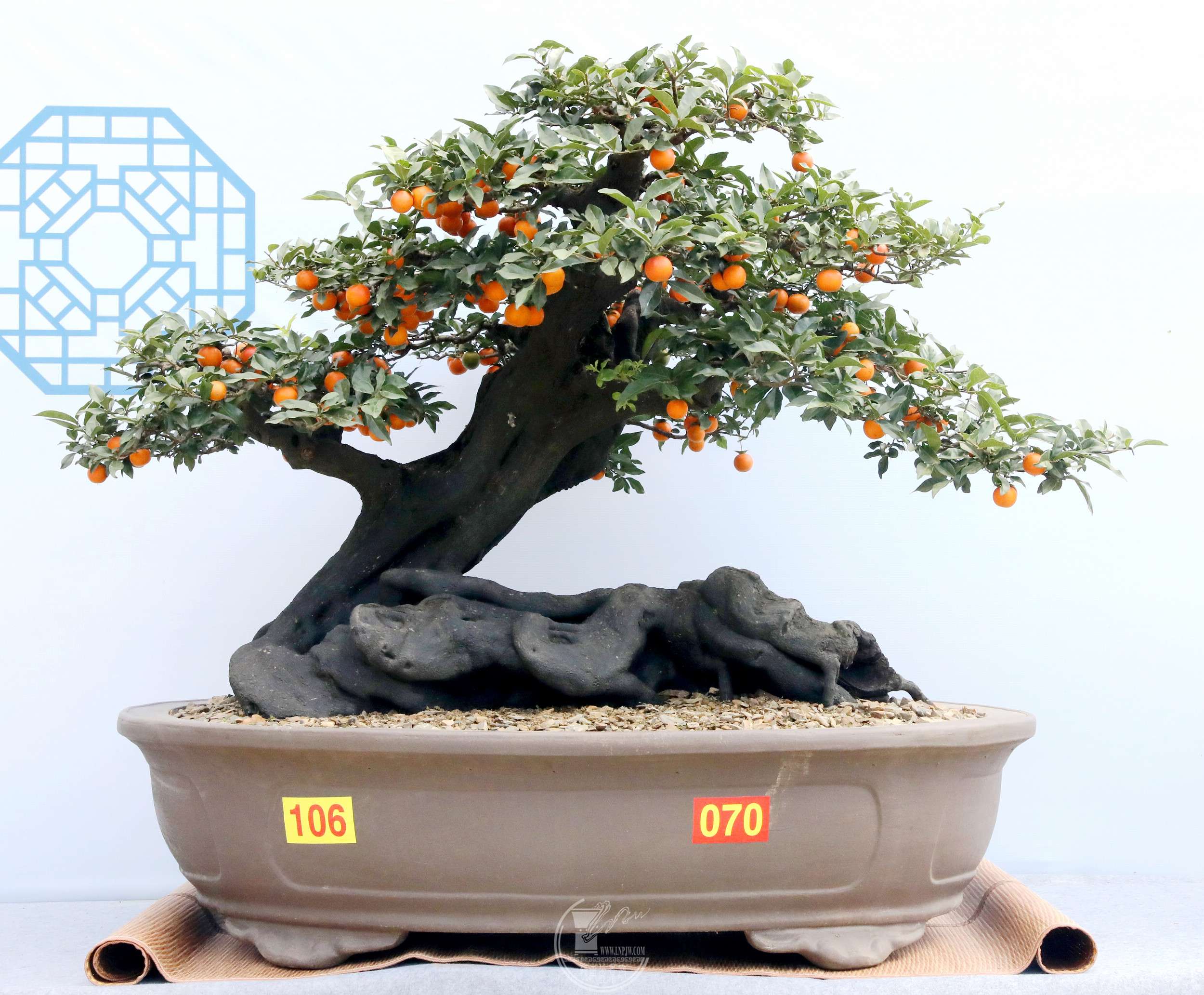 19106 ̫ ߳  BG1A6670.jpg