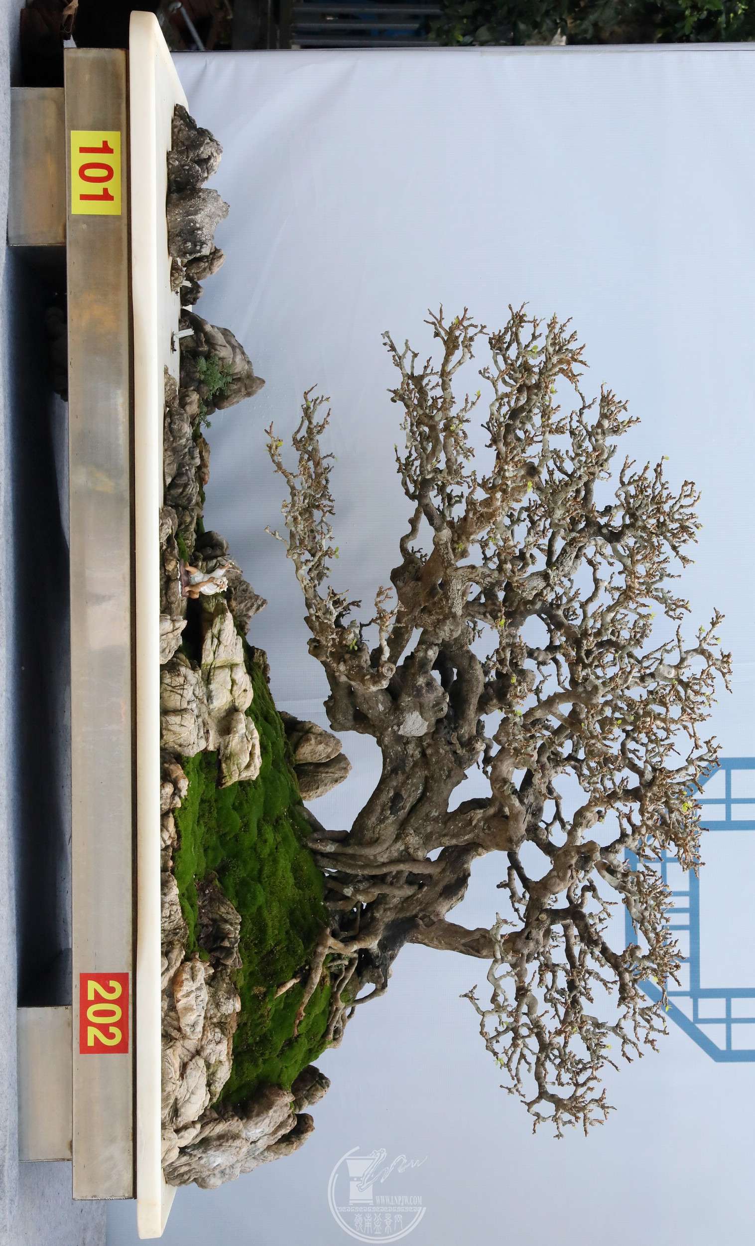 26101㶫辰Э־  BG1A6688.jpg