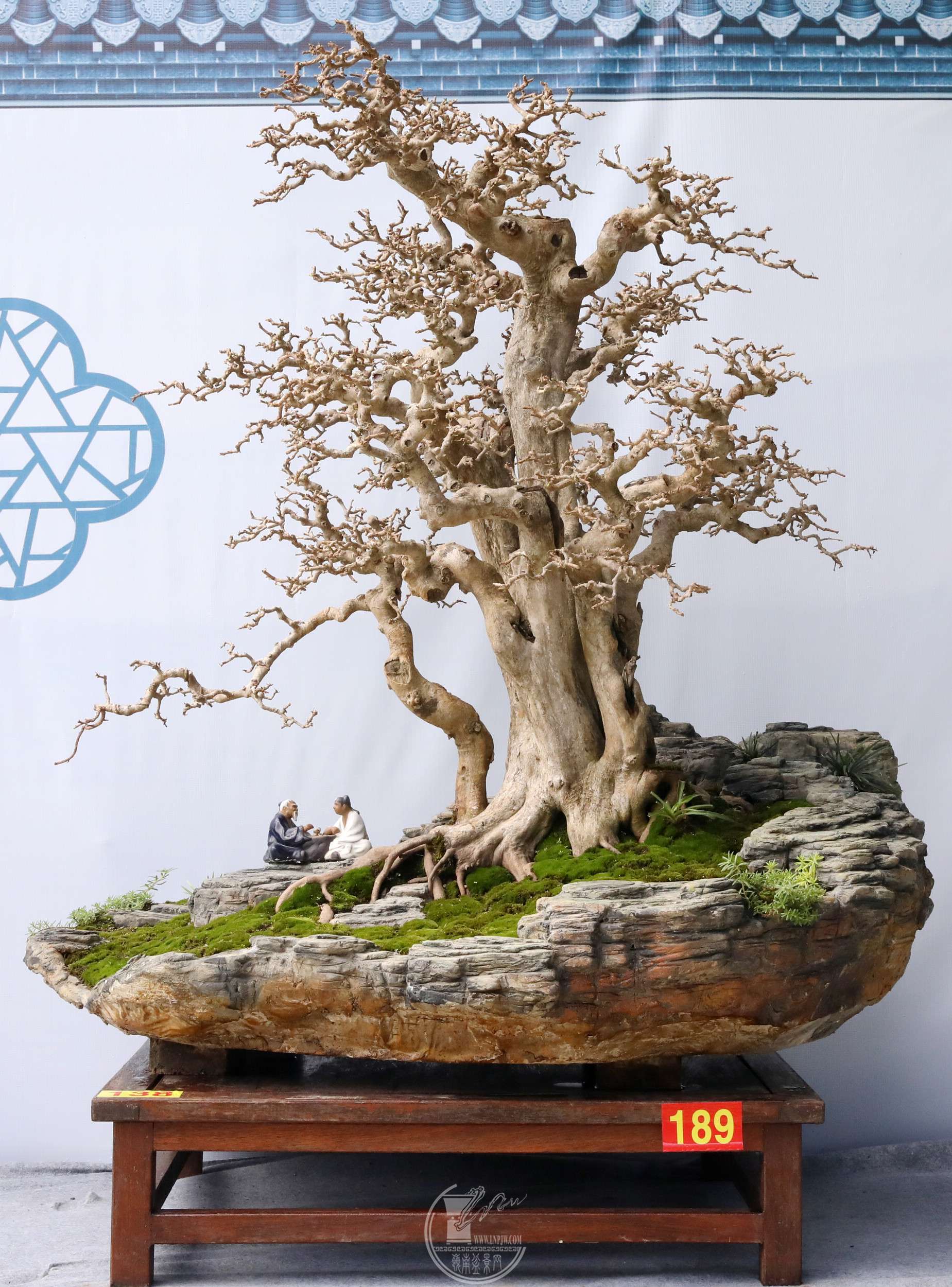 27138 ȫ Ĳϡ BG1A6598.jpg