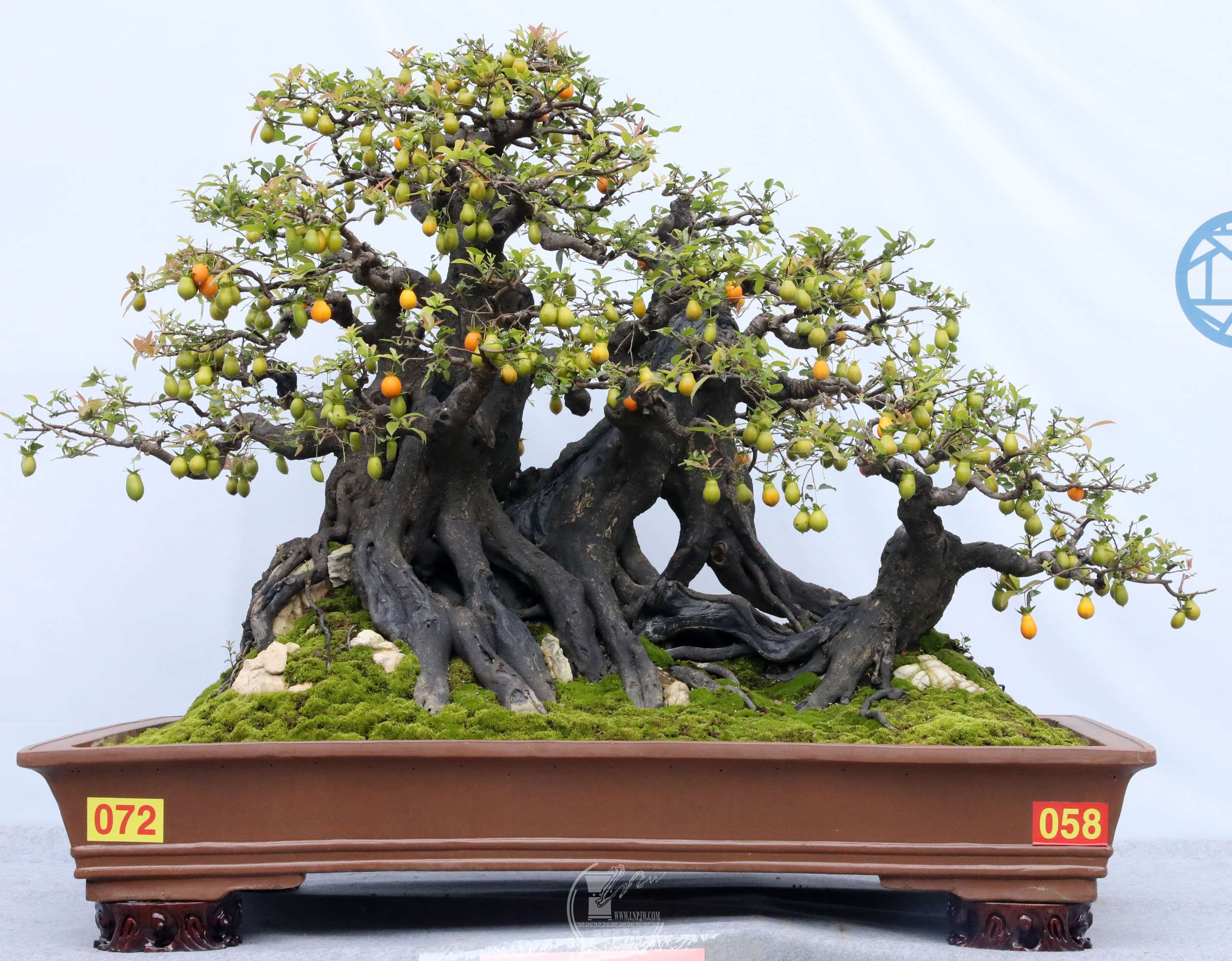 2972 Խ  ӡBG1A6767.jpg