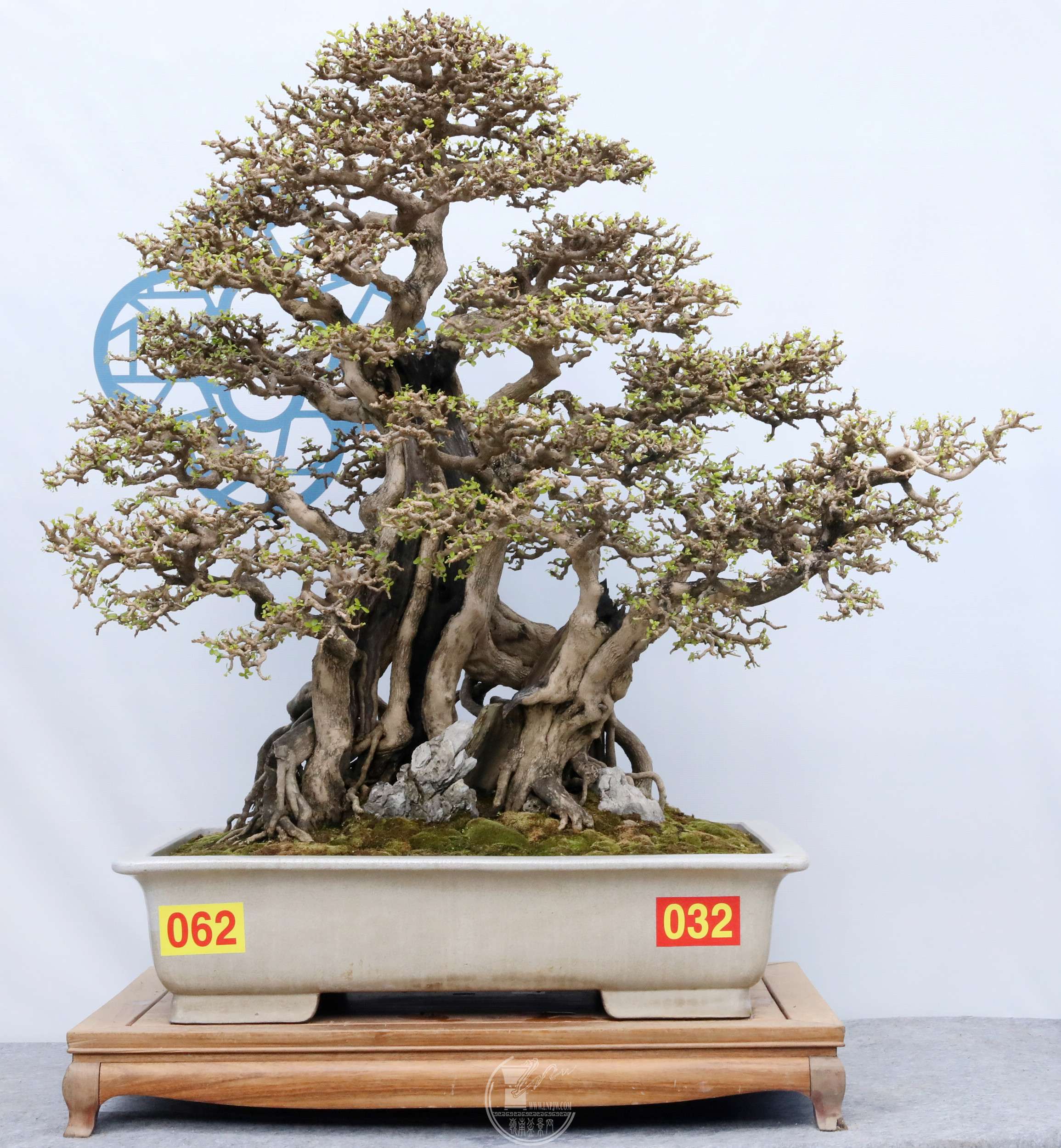 3062㶫԰ ϸƽ  BG1A6786.jpg