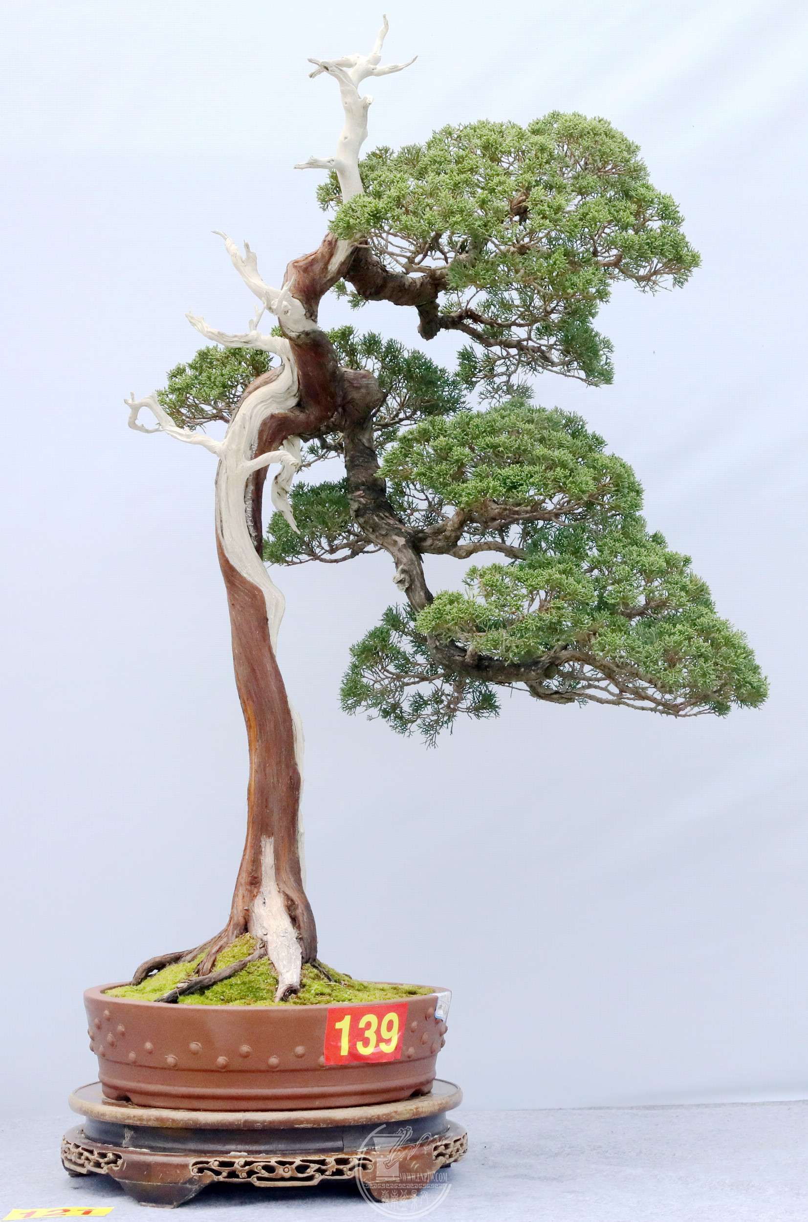 31121  ֮ BG1A6634.jpg