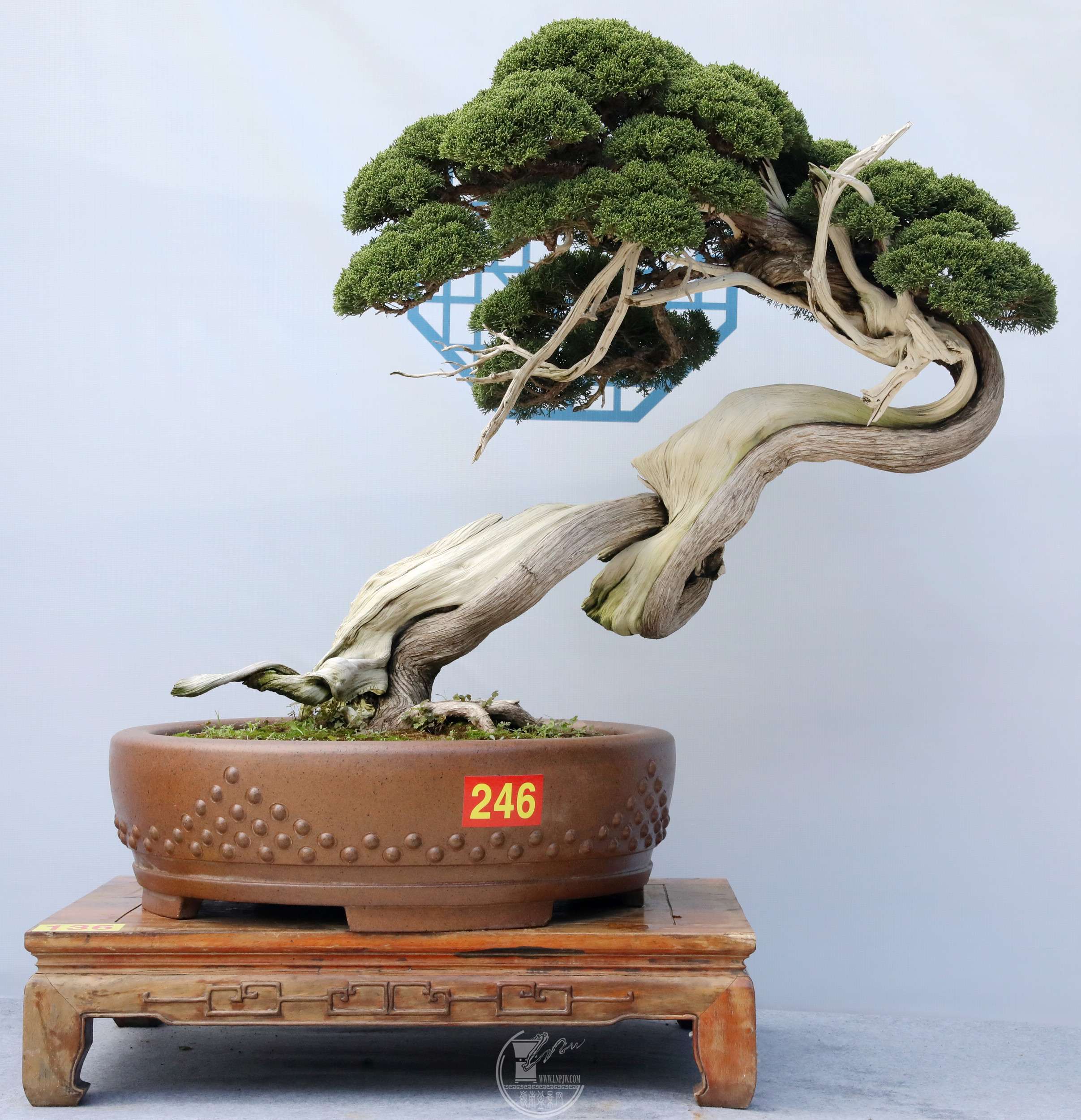 32136    BG1A6602.jpg