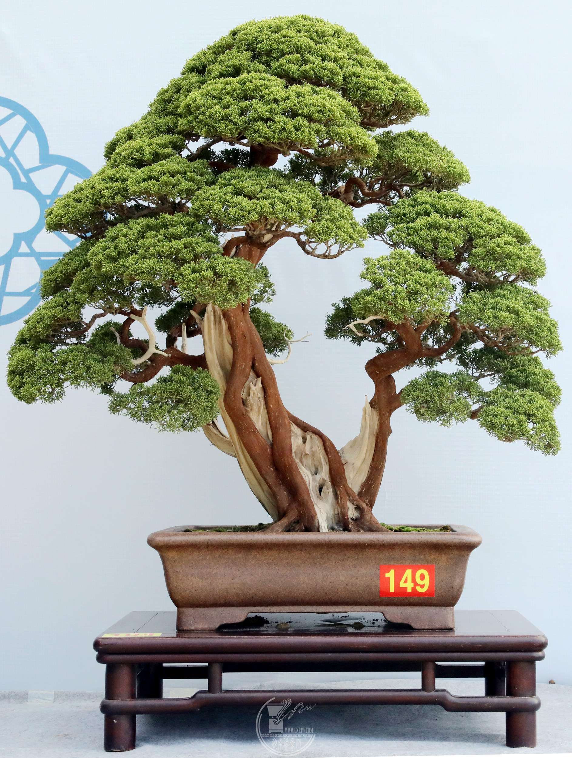 34104 Դ ˫ BG1A6682.jpg