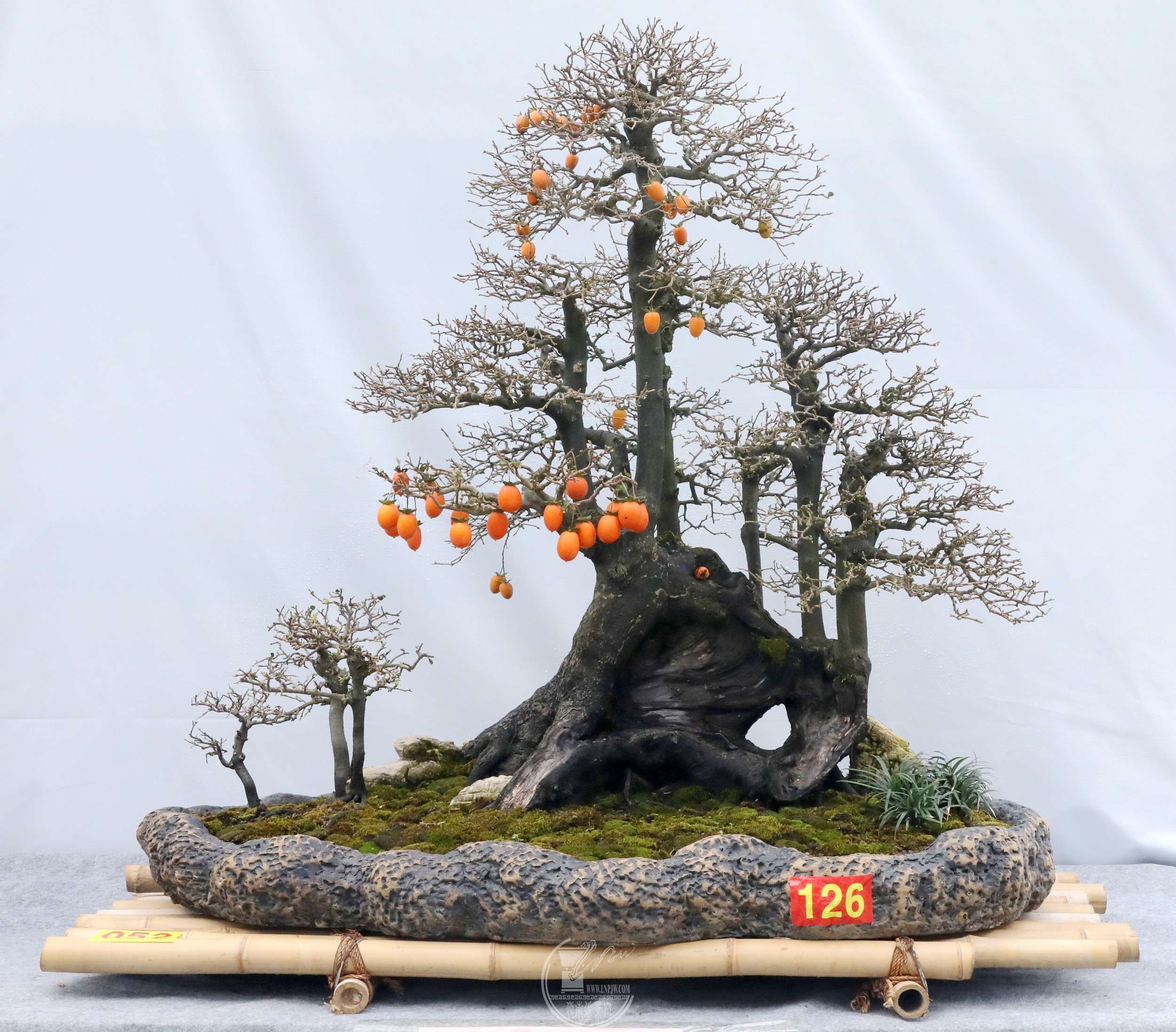 4152 ڹ ϡ  52BG1A6808.jpg