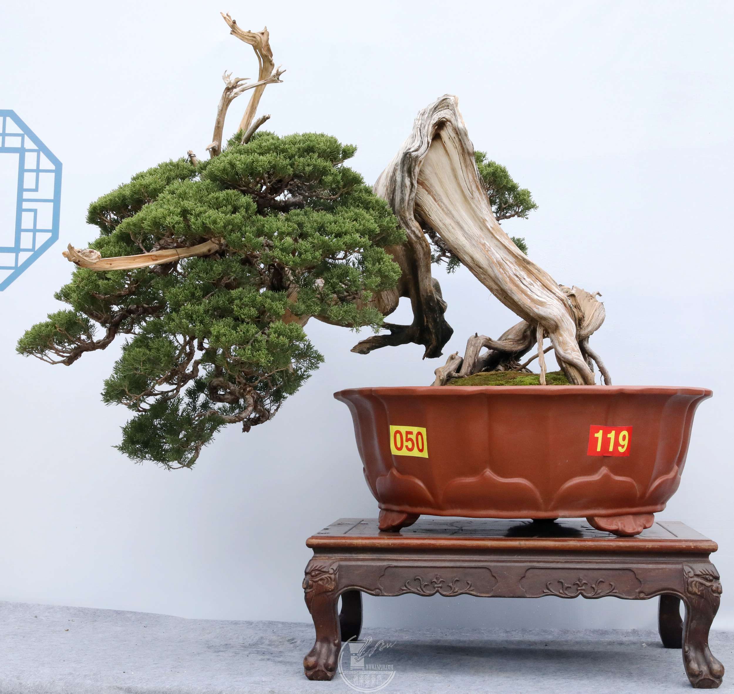 4450ɽ ޵  BG1A6812.jpg