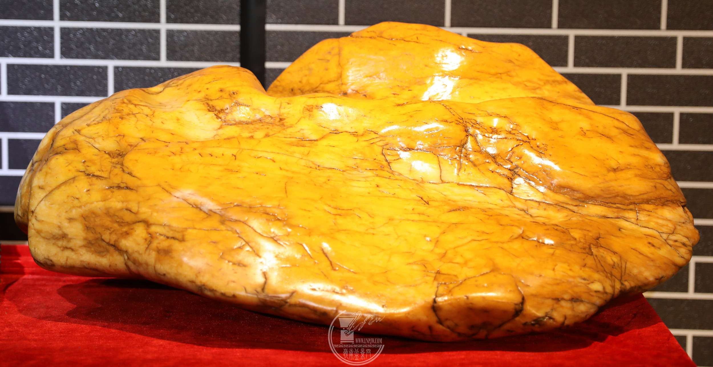 6    ʯ  BG1A6099.jpg