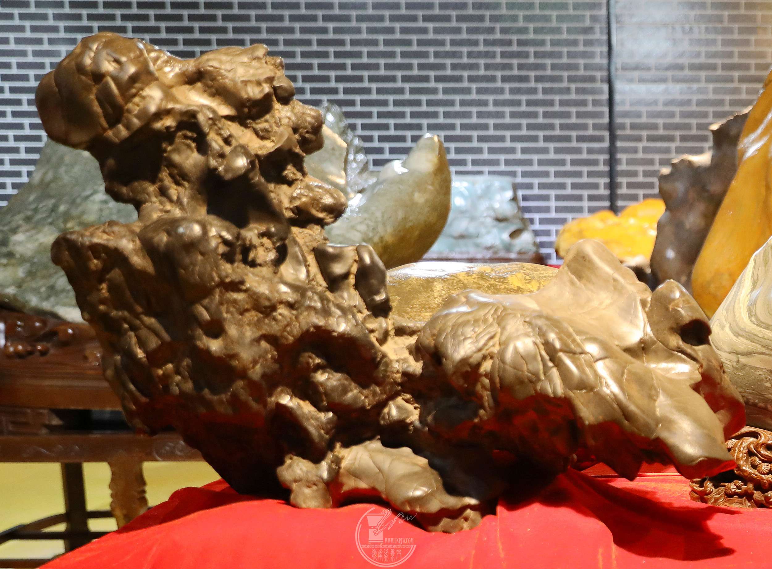 38  ī  ʯ ֣ ʯBG1A6161.jpg